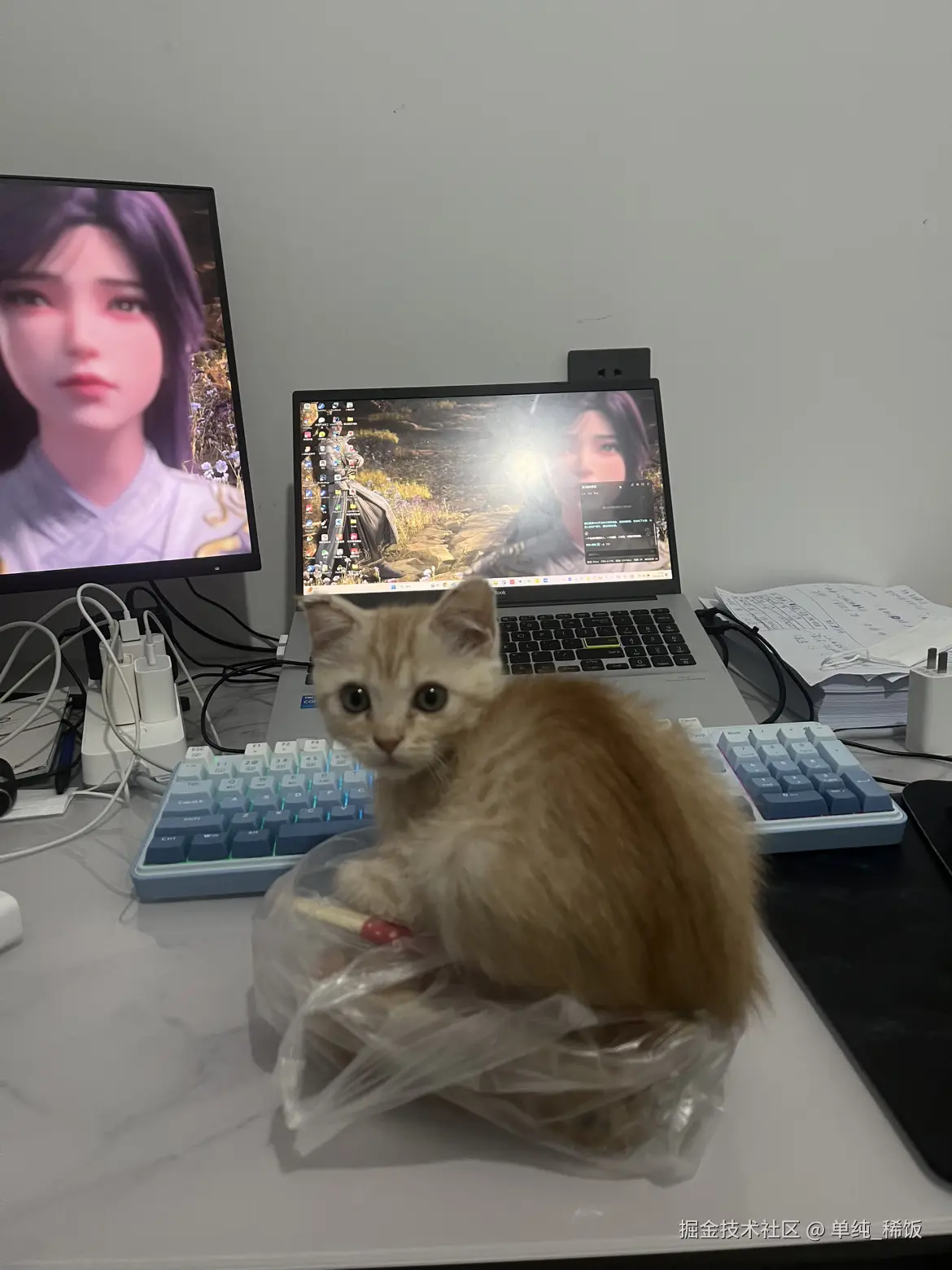 单纯_稀饭于2025-03-19 10:00发布的图片