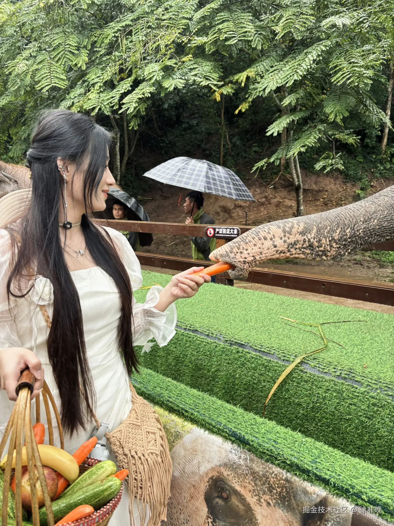 徐非晚于2024-12-03 06:37发布的图片