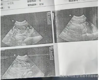 哪胡不开提哪胡于2024-10-15 13:41发布的图片