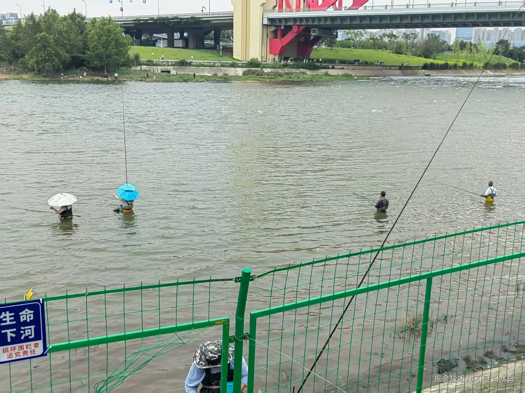 白水白于2025-08-18 17:06发布的图片