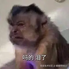 媛媛啊9813于2024-08-15 06:30发布的图片