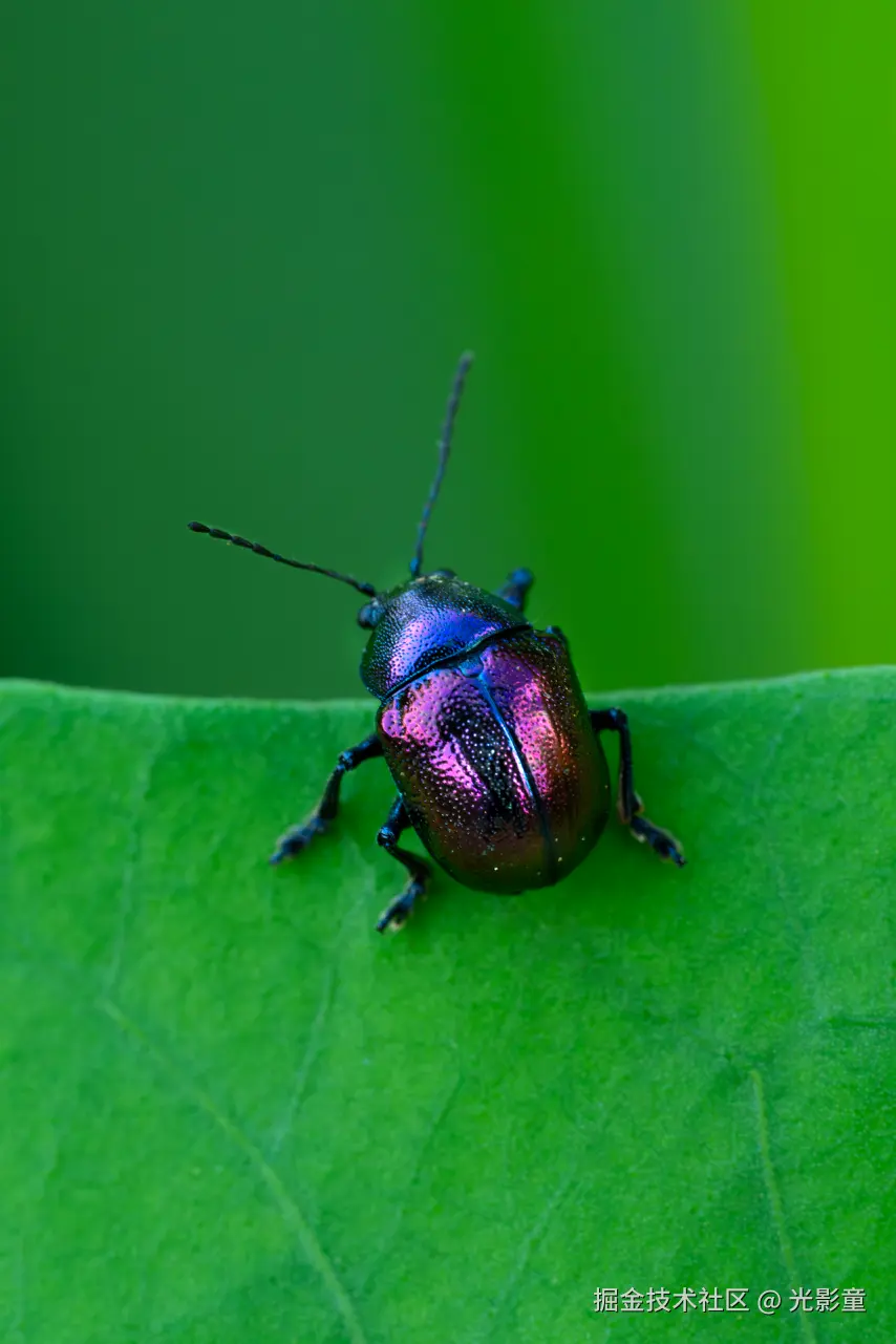 光影童于2025-06-30 06:43发布的图片