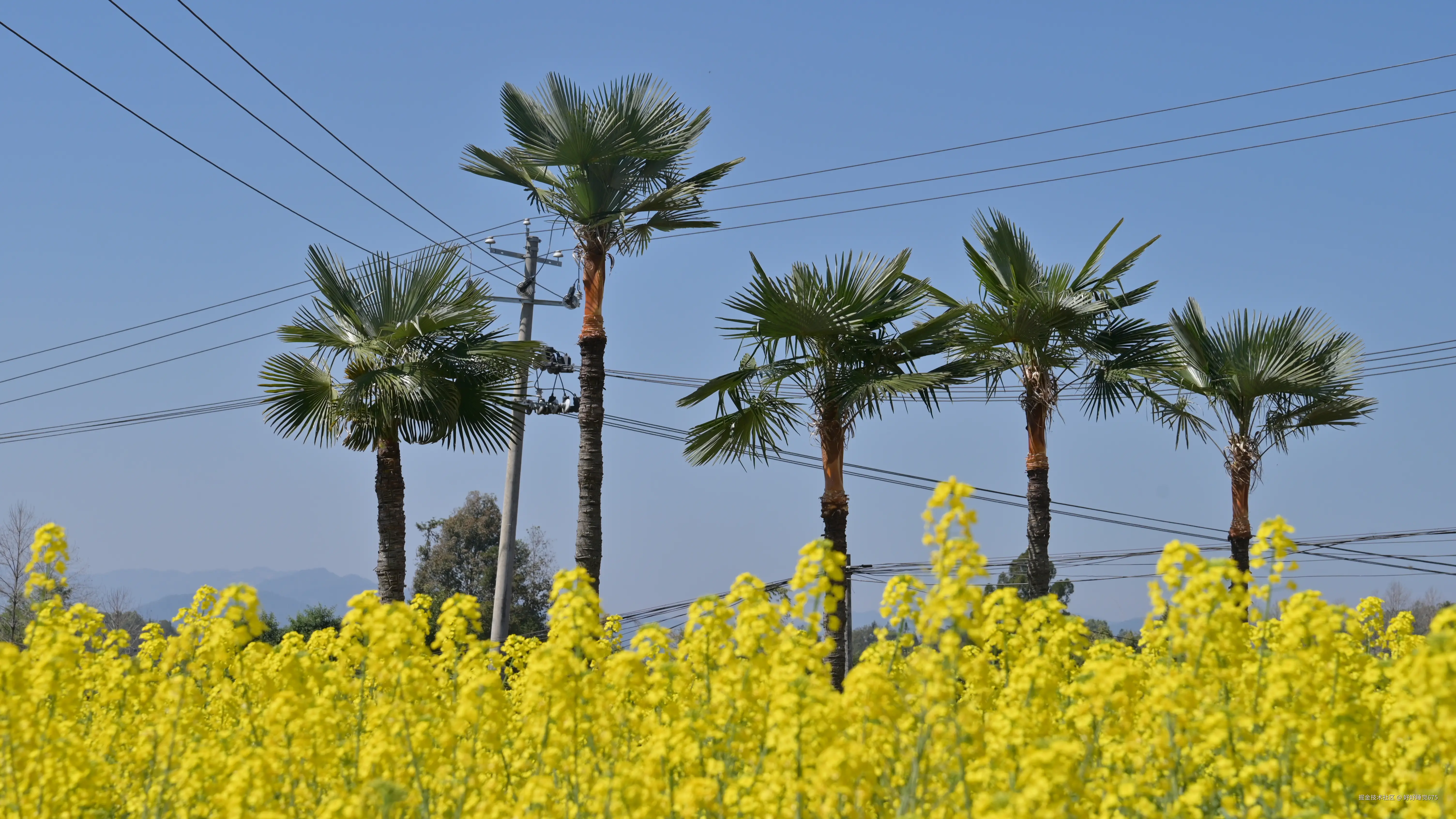 好好睡觉675于2026-02-25 11:10发布的图片