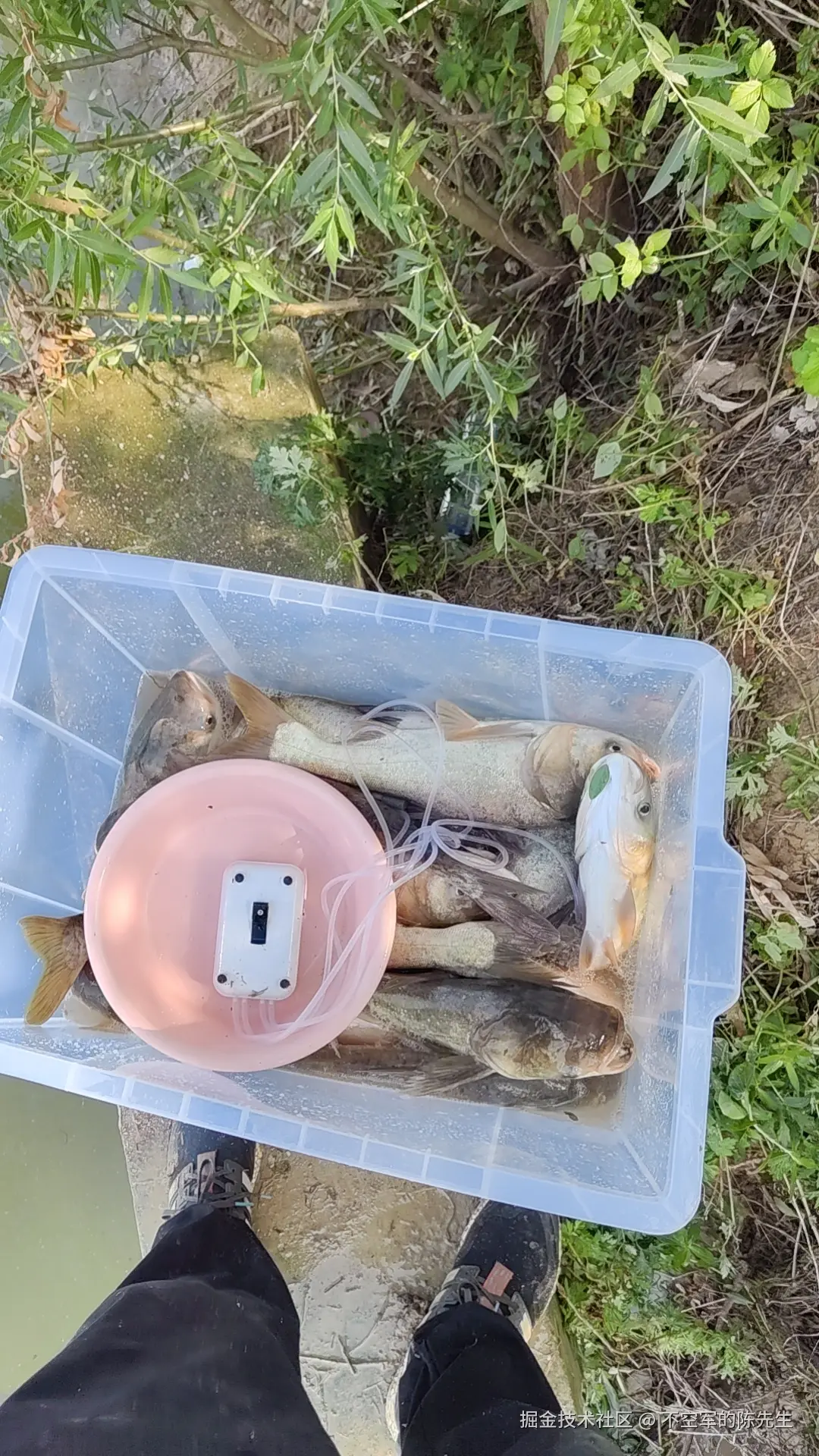 不空军的陈先生于2025-07-14 08:59发布的图片