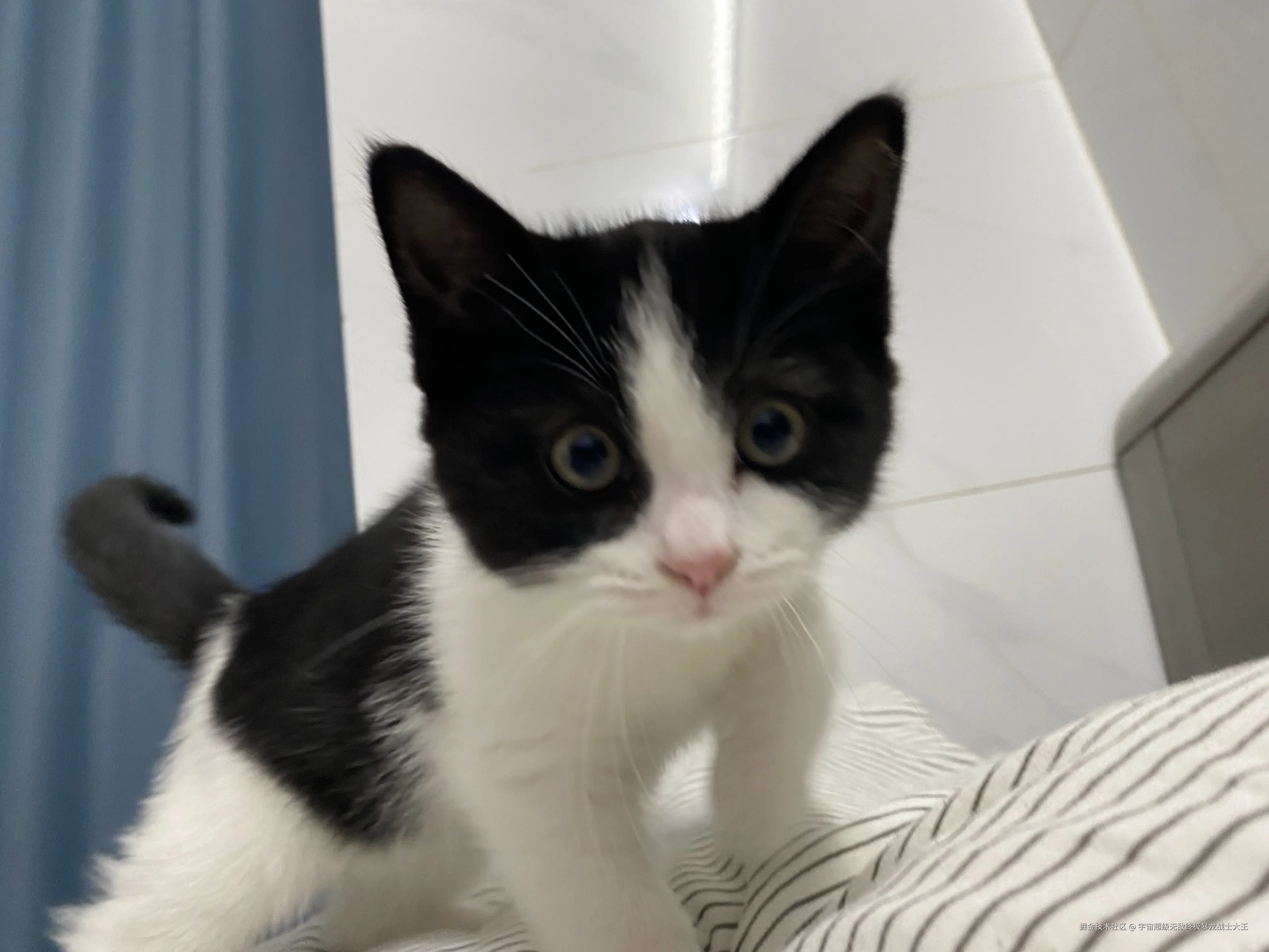 宇宙超级无敌终极暴龙战士大王于2025-02-10 16:39发布的图片