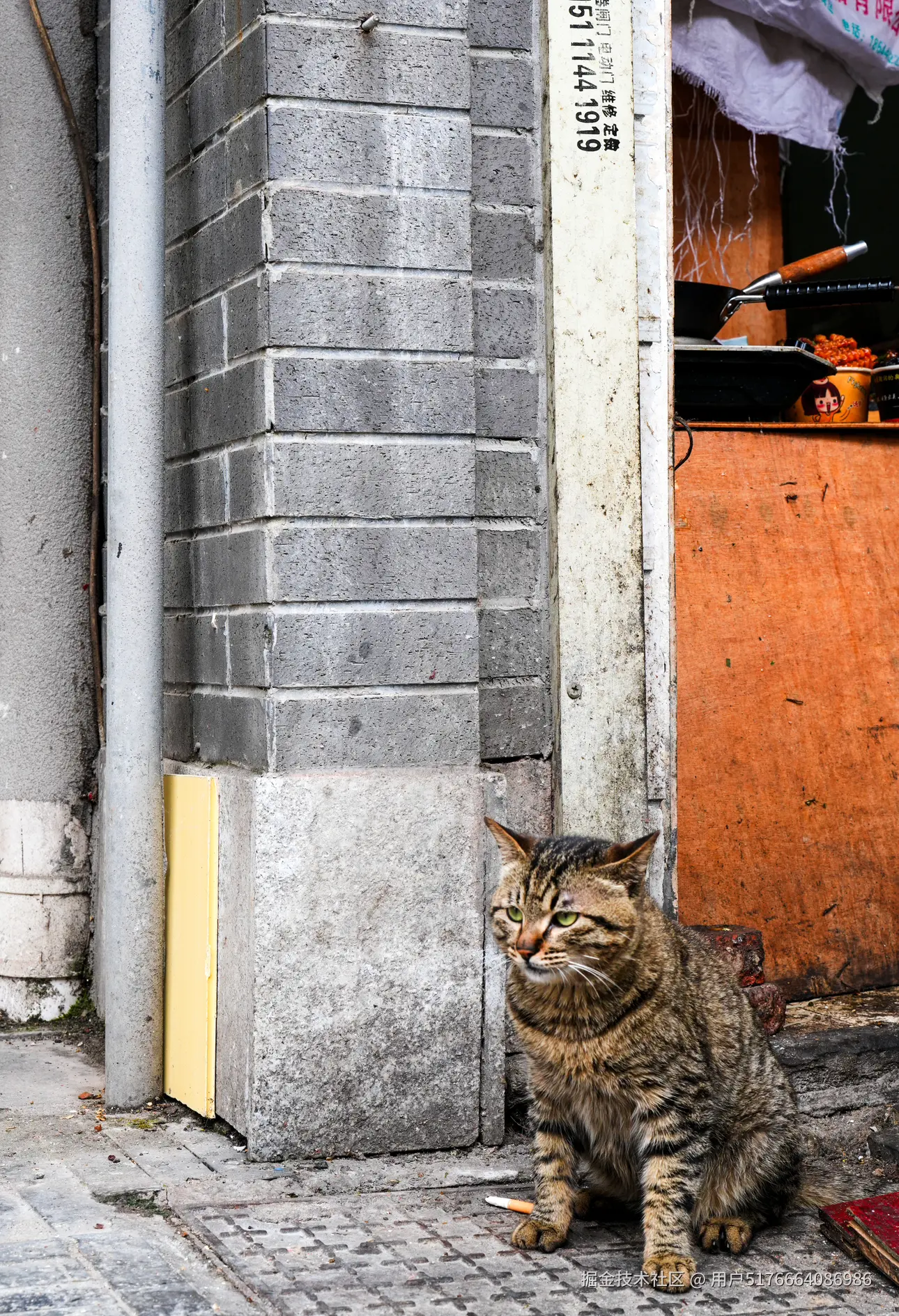 用户5176664086986于2025-04-21 09:09发布的图片