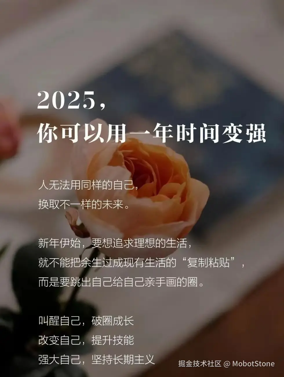 MobotStone于2025-02-12 13:36发布的图片