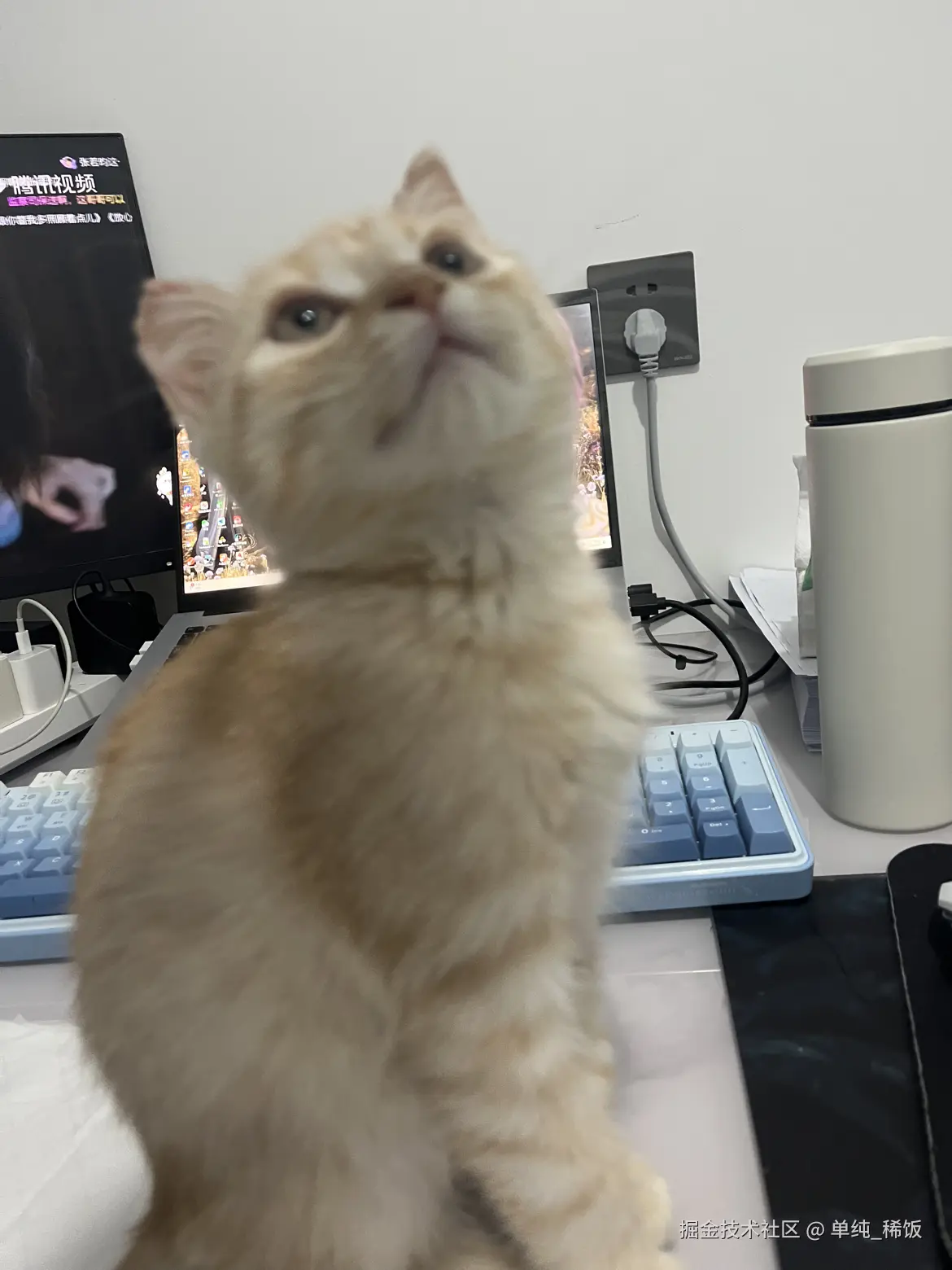 单纯_稀饭于2025-04-08 19:04发布的图片