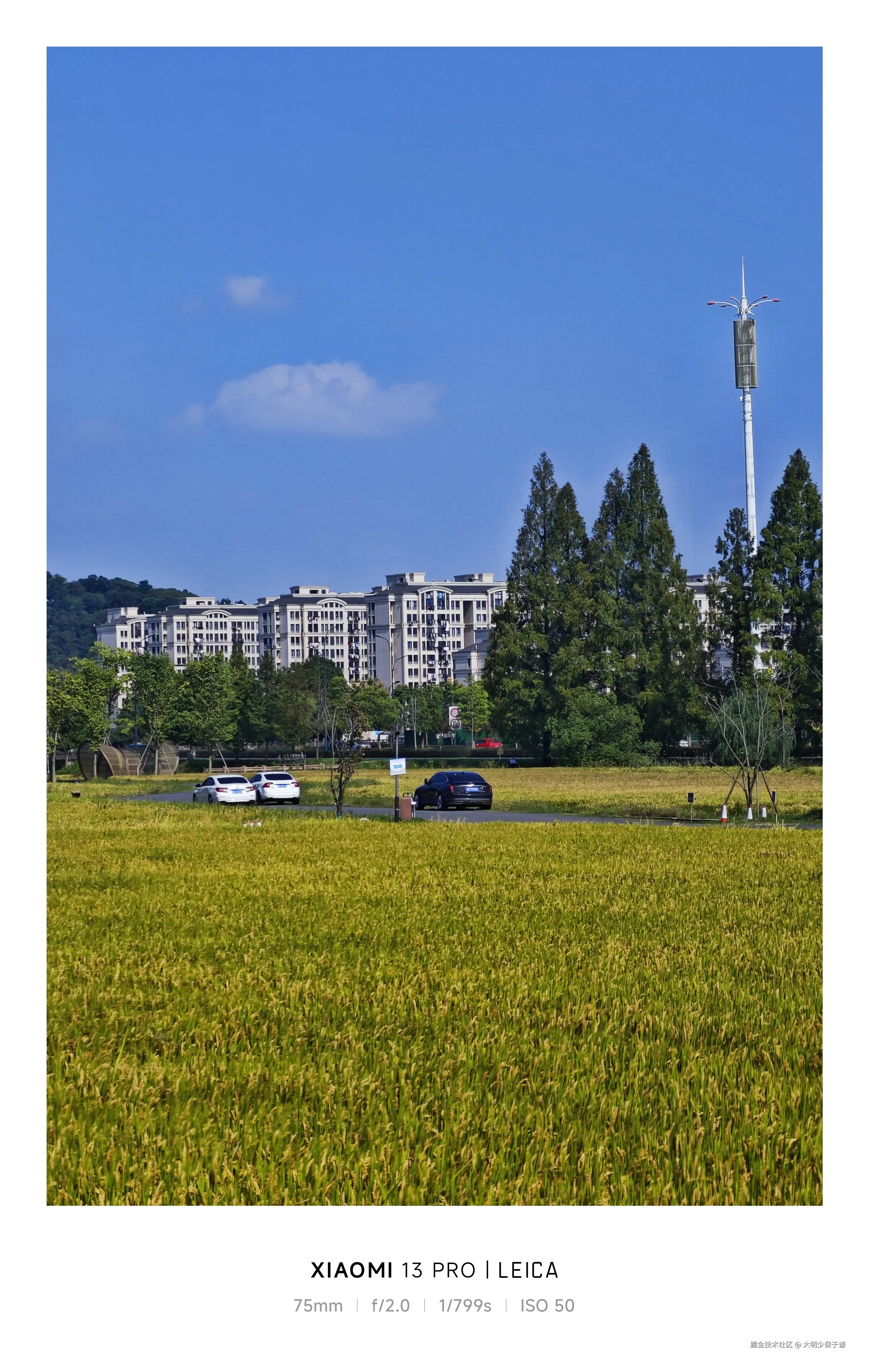 大明少保于谦于2024-11-08 11:32发布的图片