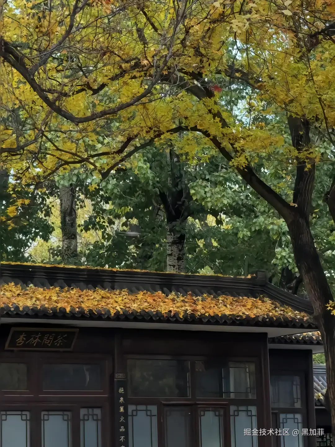 黑加菲于2024-11-30 10:36发布的图片