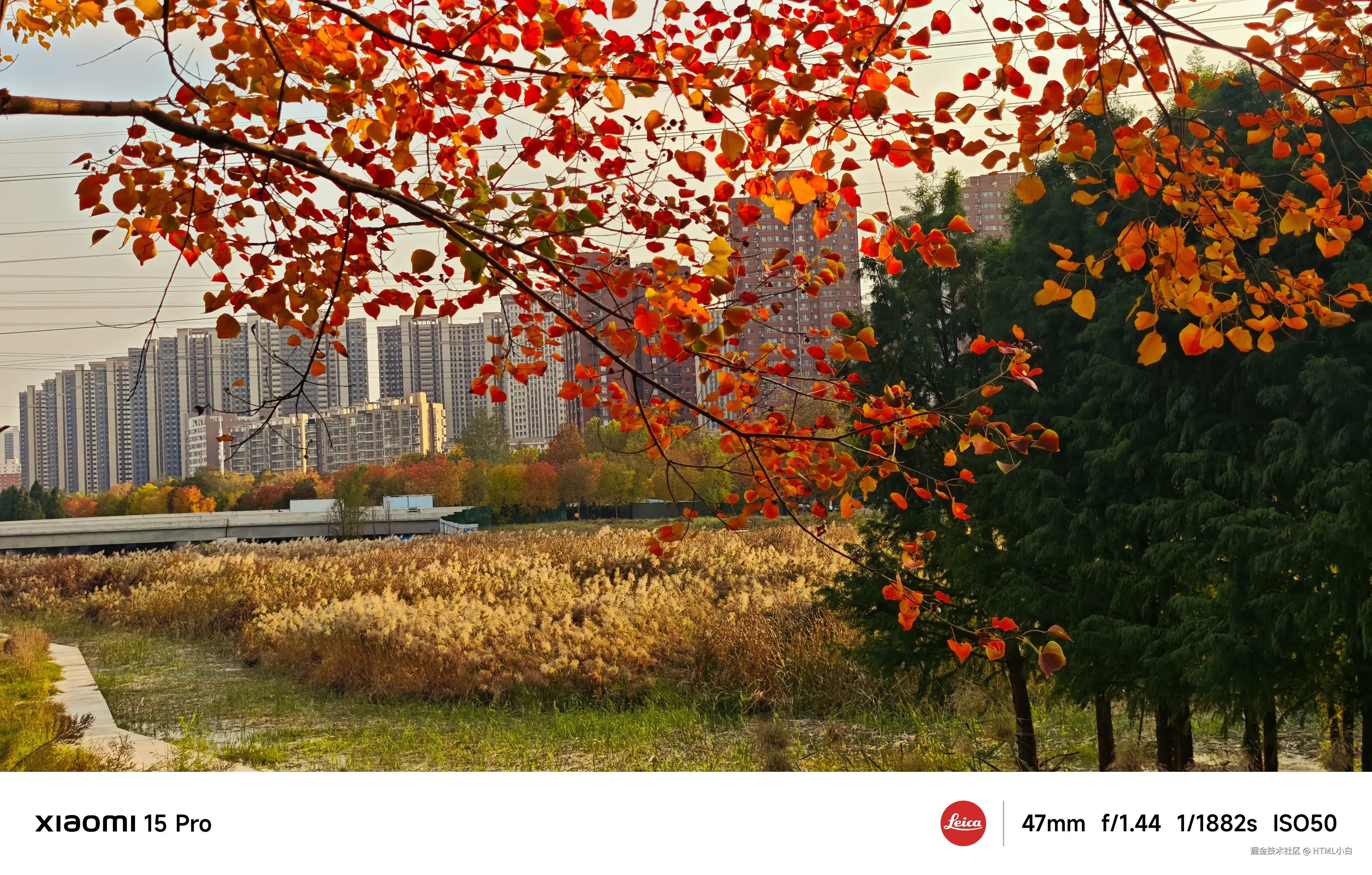 HTML小白于2025-11-03 10:31发布的图片