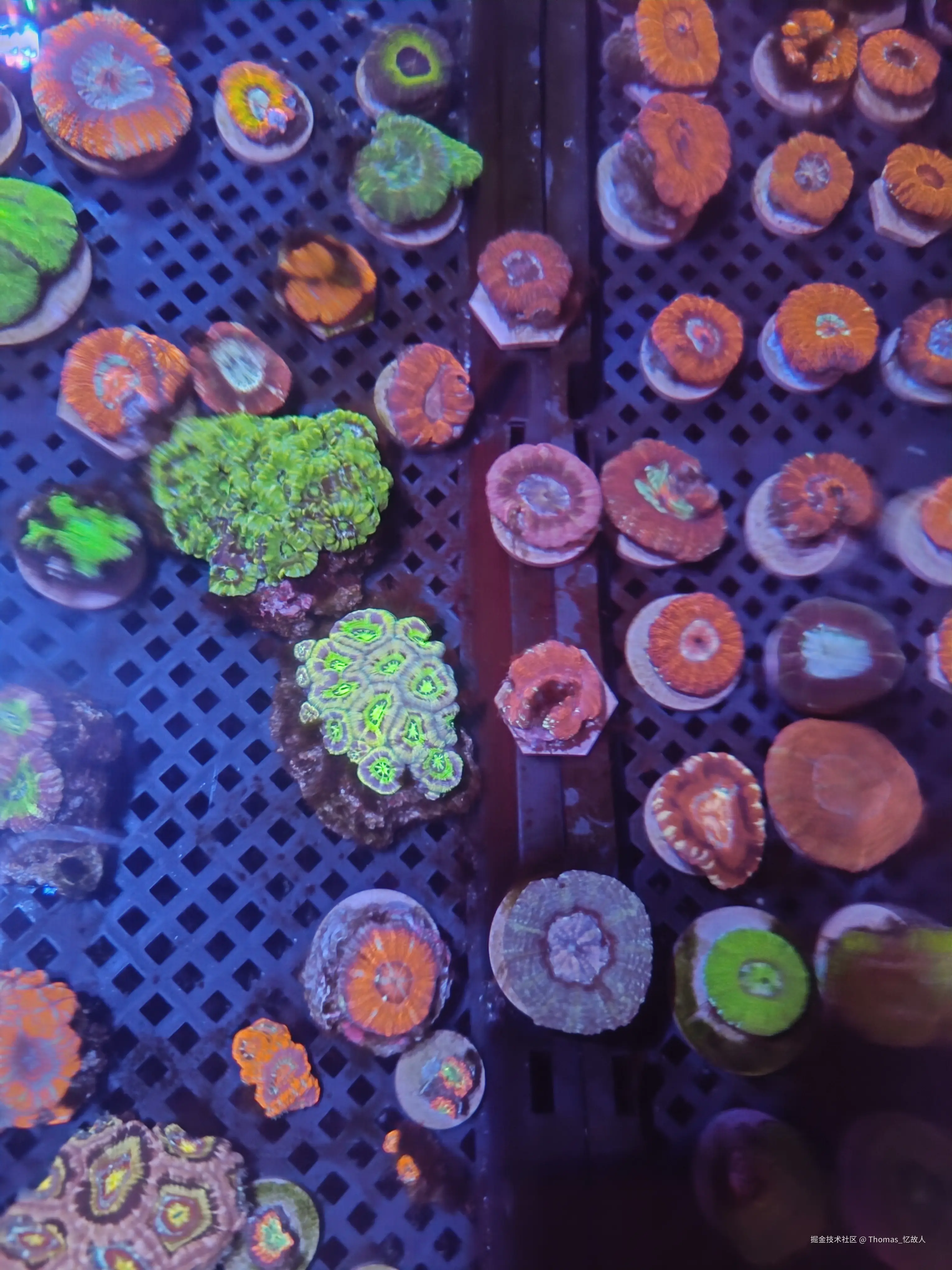 Thomas_忆故人于2024-10-24 16:36发布的图片