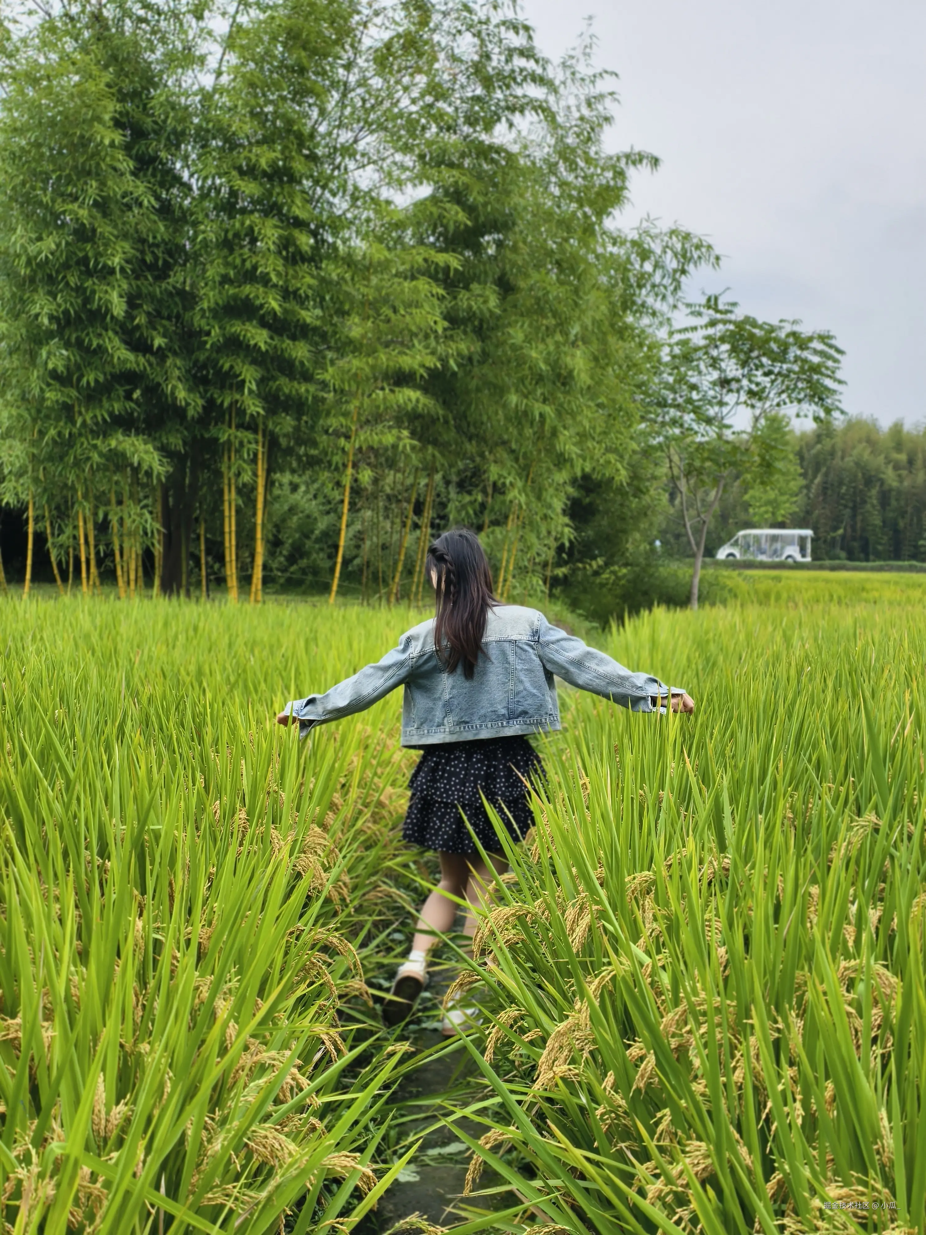 小瓜_于2025-10-20 10:46发布的图片