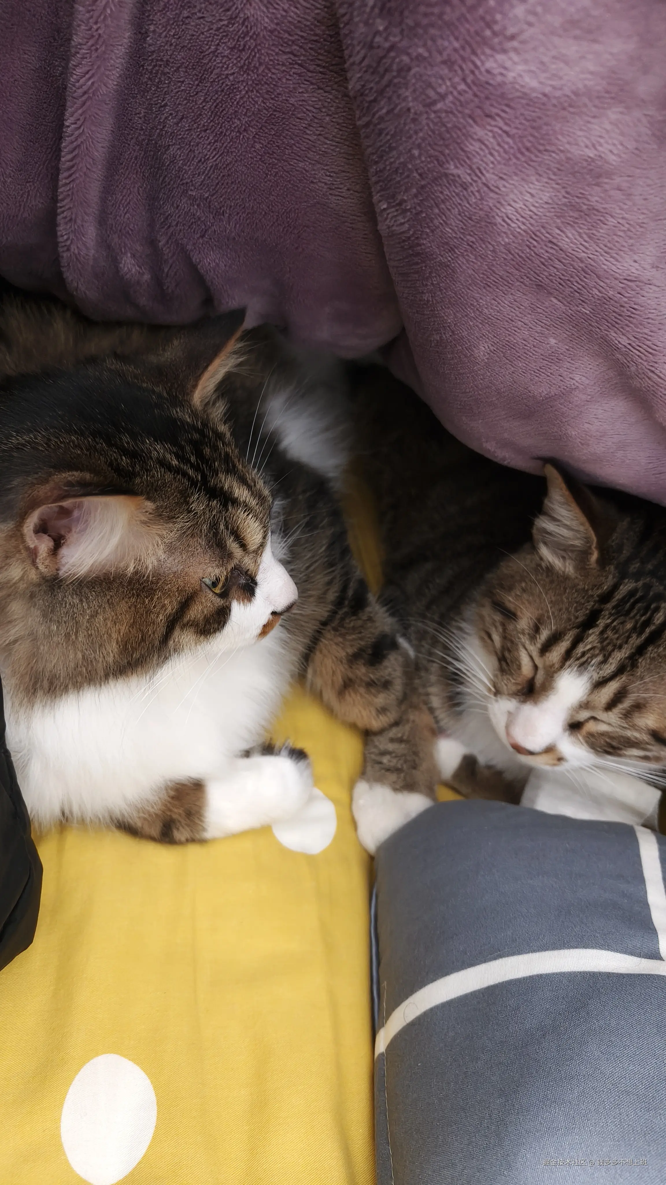 钱多多不想上班于2026-01-26 09:13发布的图片