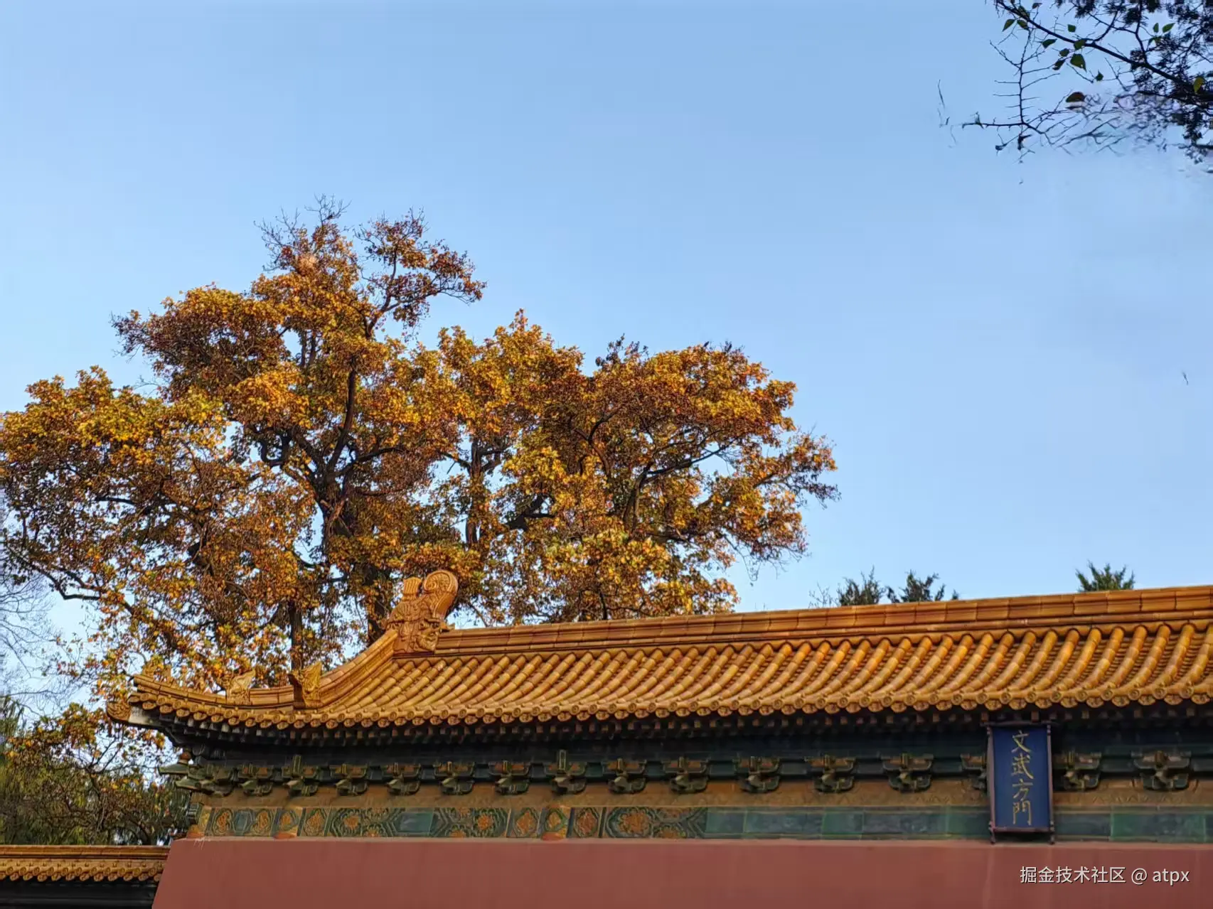 atpx于2025-11-17 02:03发布的图片