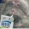 一碗臭屁酱于2024-08-23 08:53发布的图片