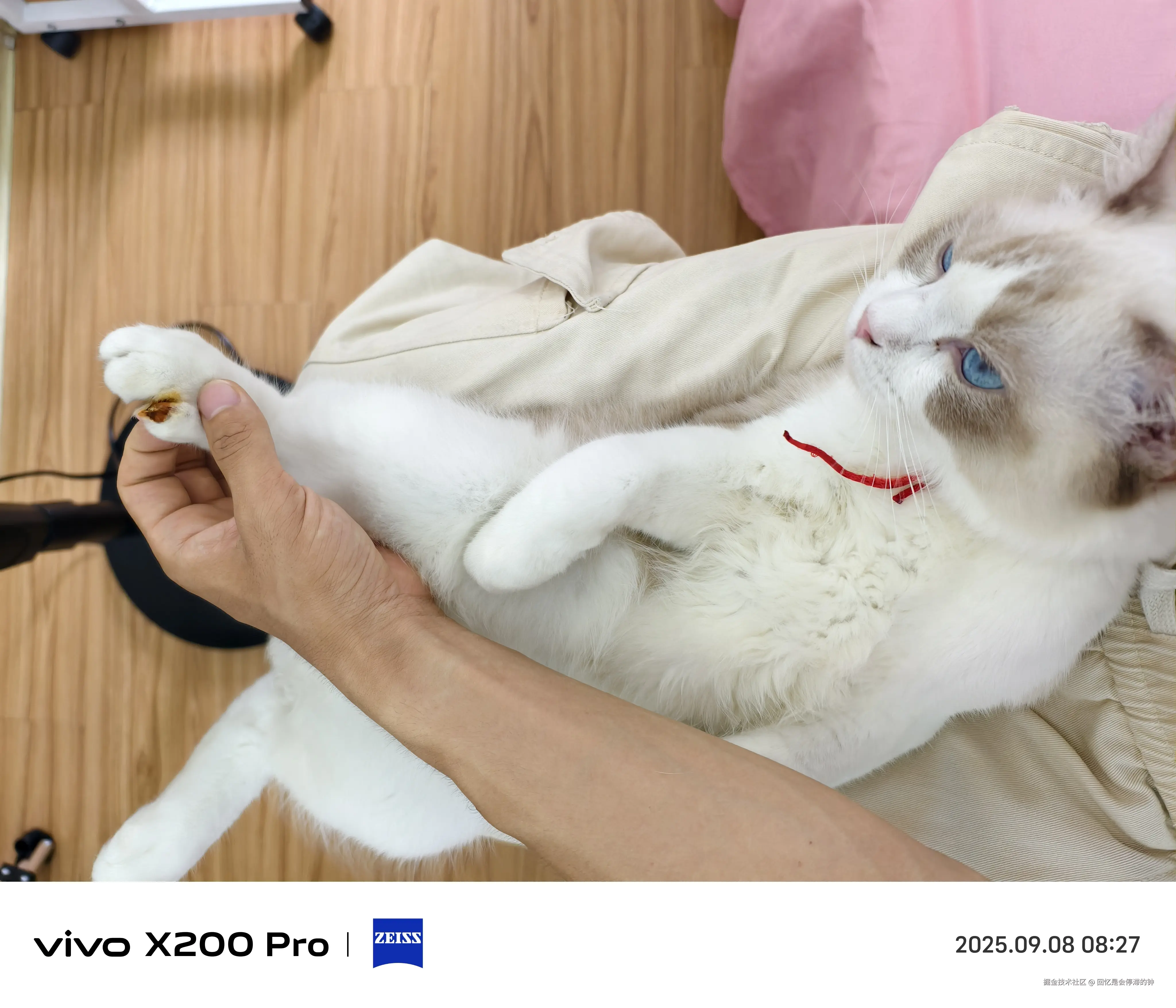 回忆是会停滞的钟于2025-09-08 09:16发布的图片