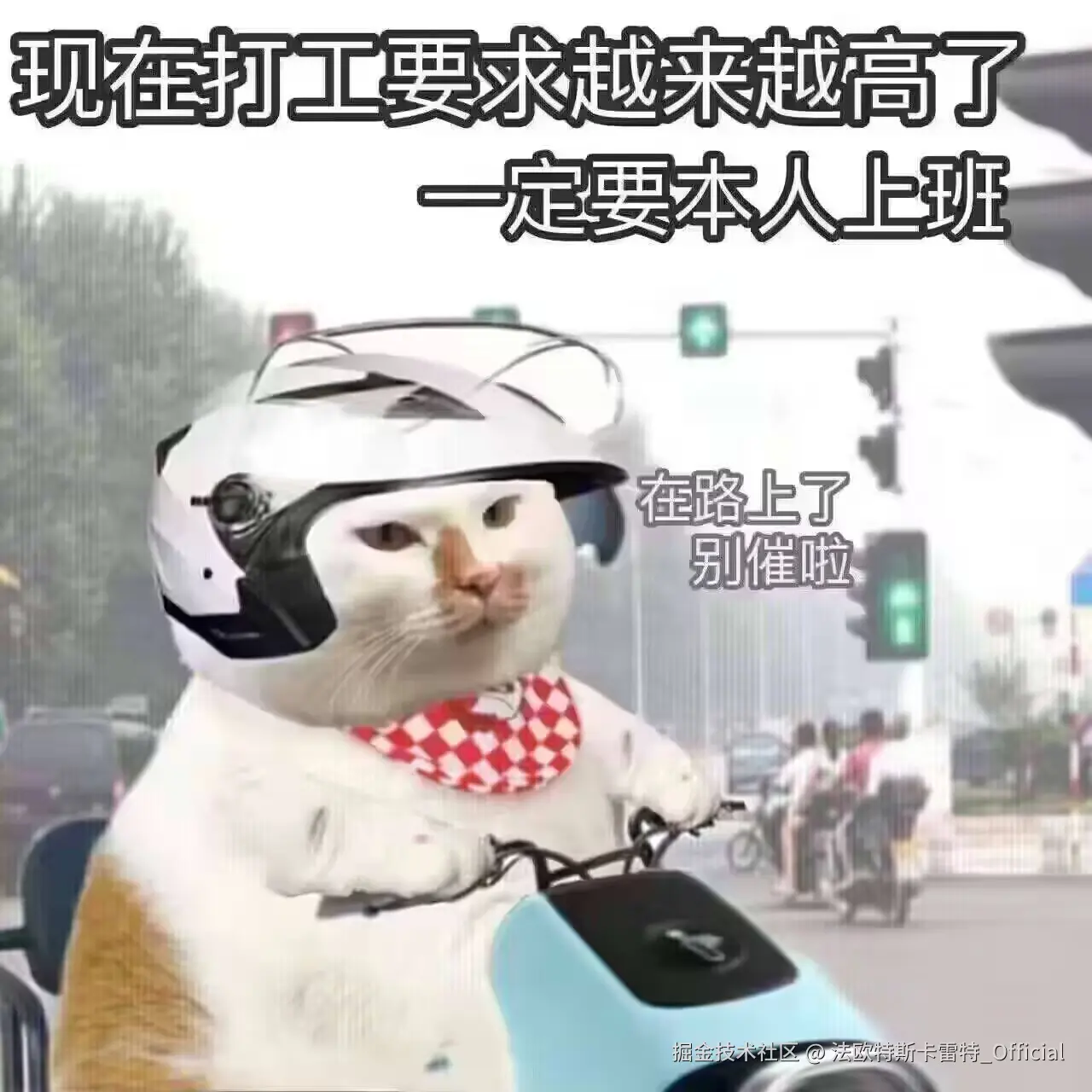 法欧特斯卡雷特_Official于2024-11-12 13:37发布的图片