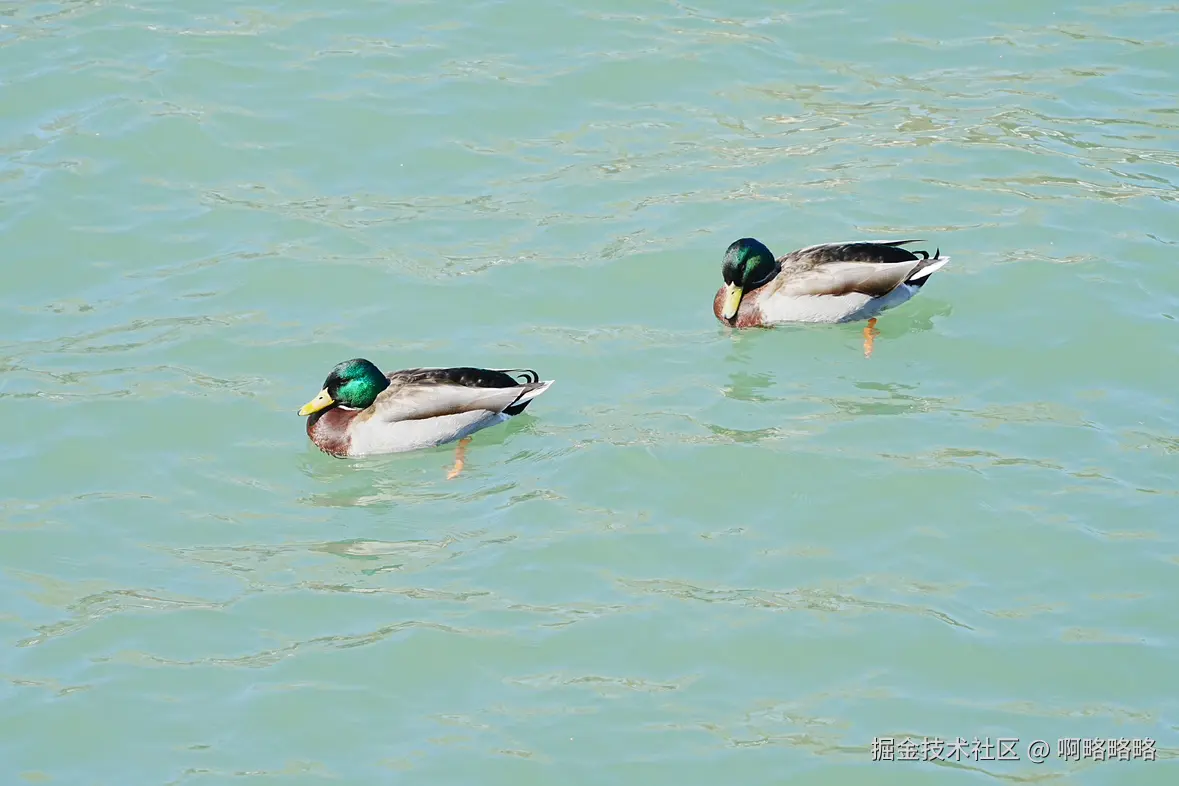 啊略略略于2025-03-17 10:14发布的图片