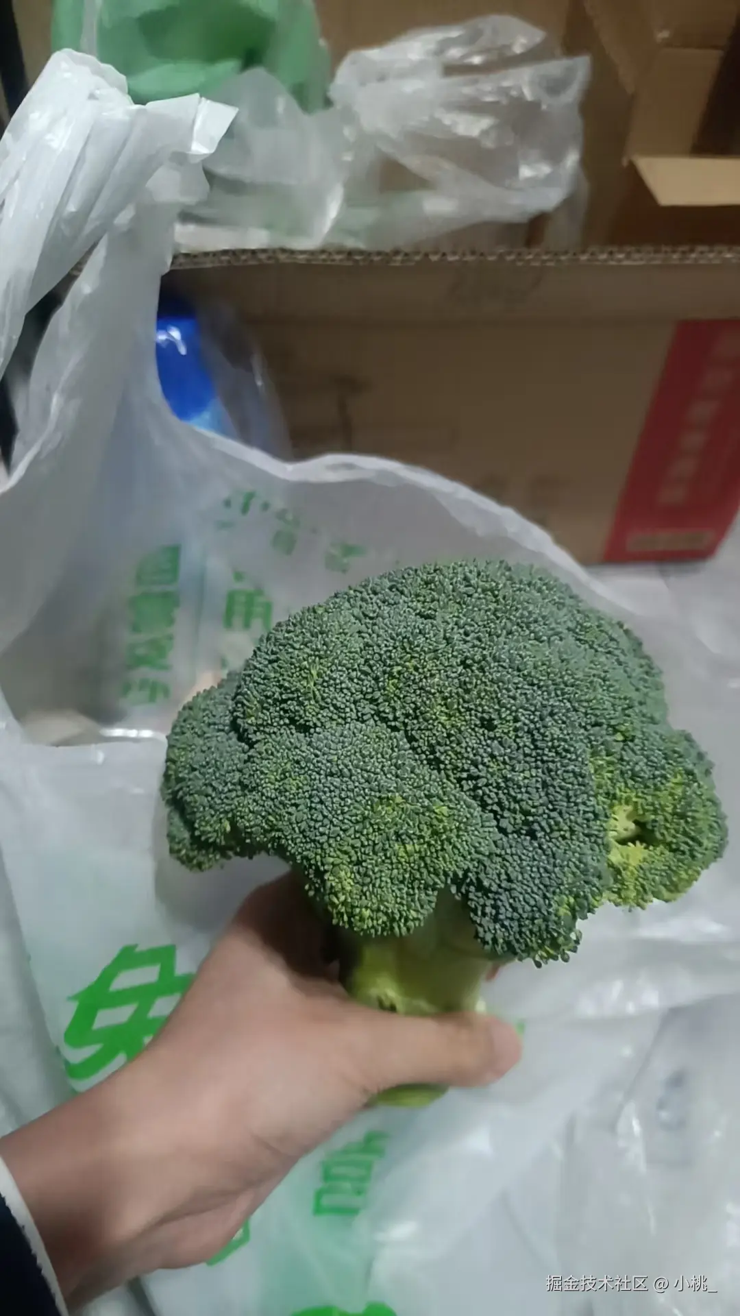 小桃_于2025-08-29 15:34发布的图片