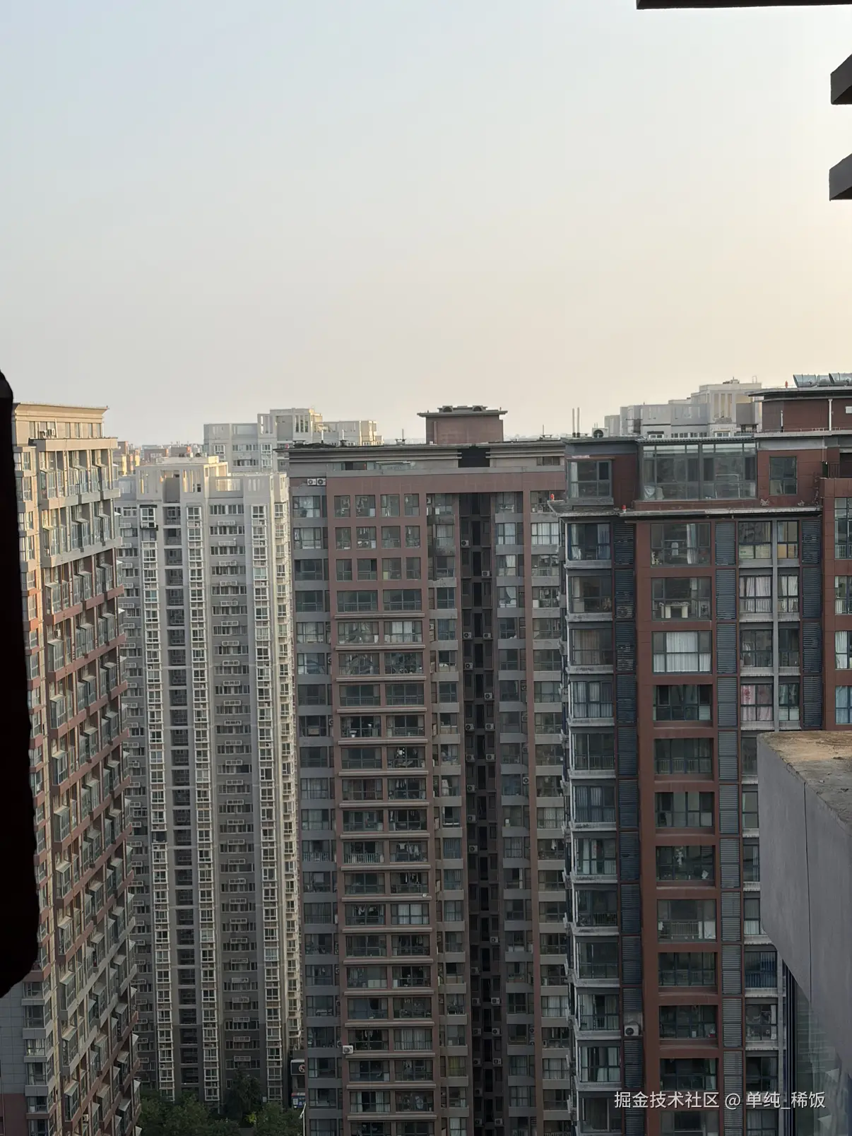 单纯_稀饭于2026-08-09 23:08发布的图片