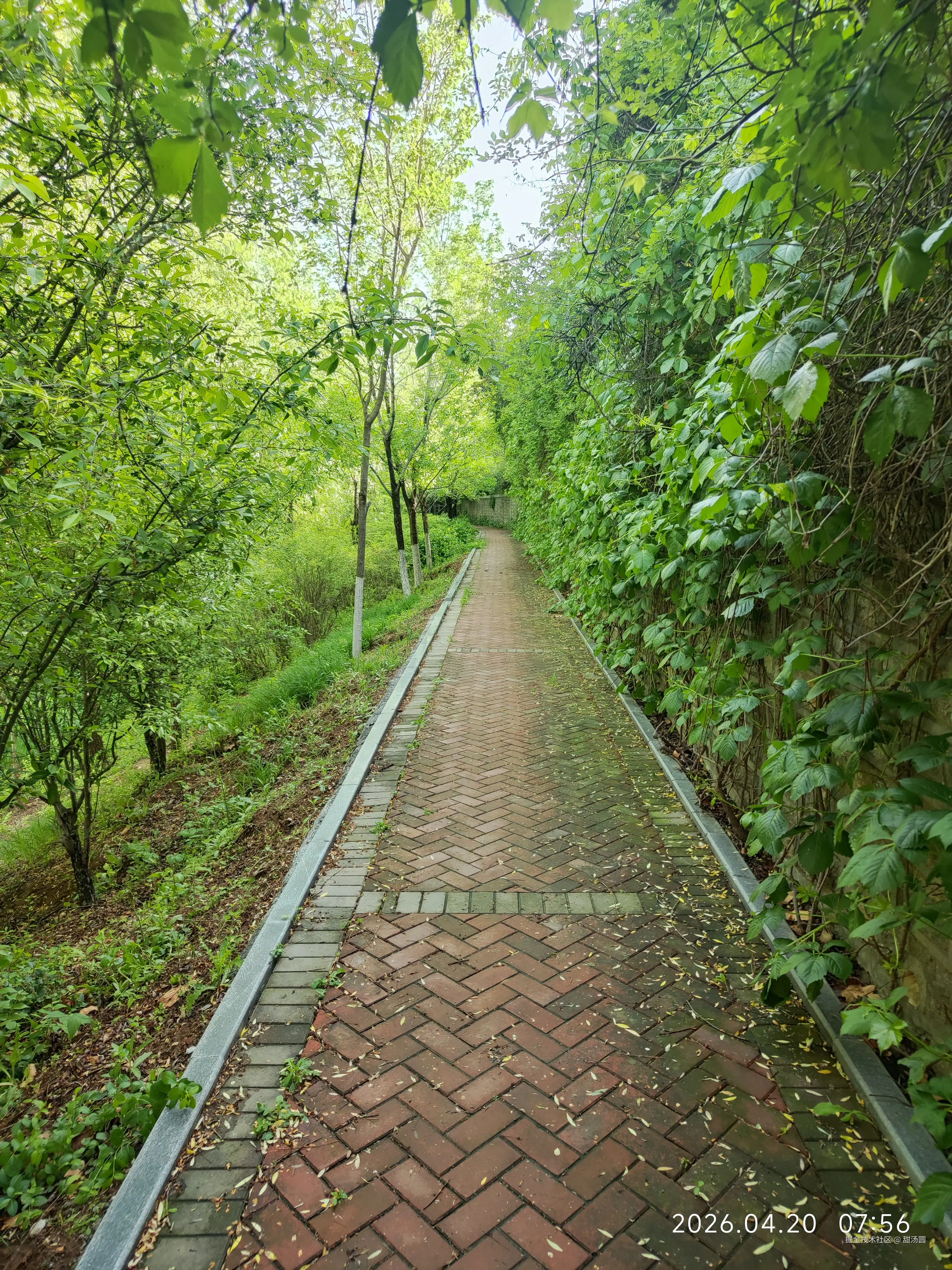 甜汤圆于2026-04-22 09:31发布的图片