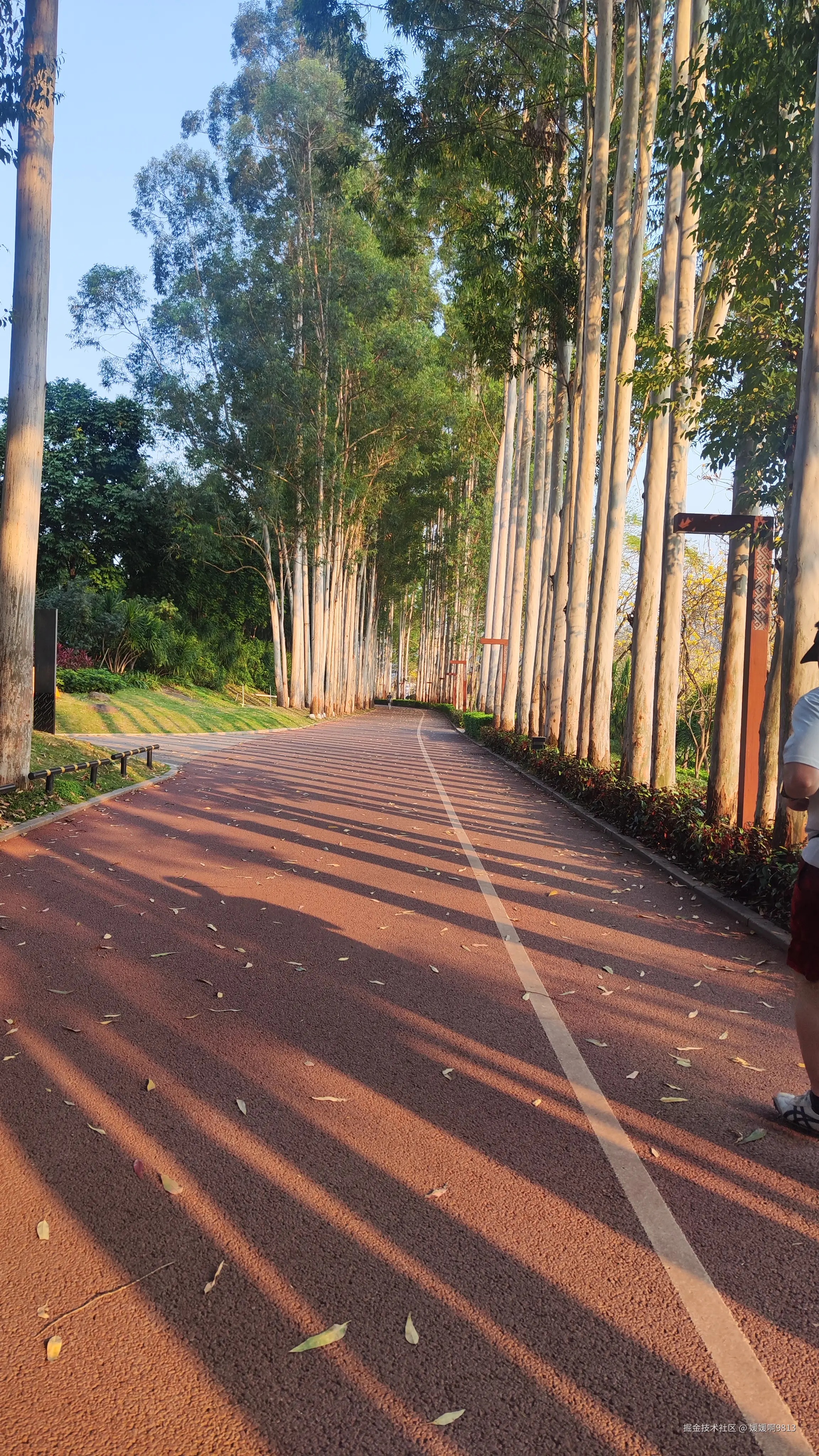 媛媛啊9813于2025-03-21 07:07发布的图片