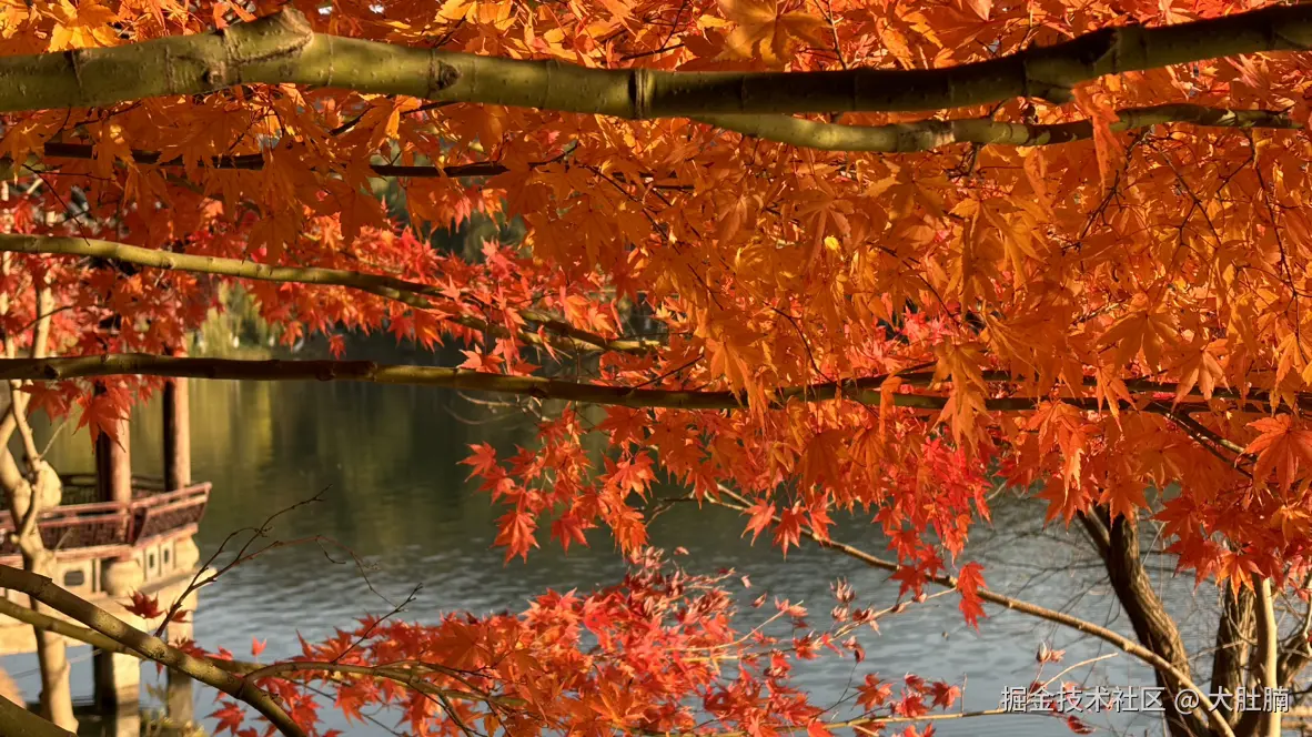 大肚腩于2024-12-30 09:27发布的图片