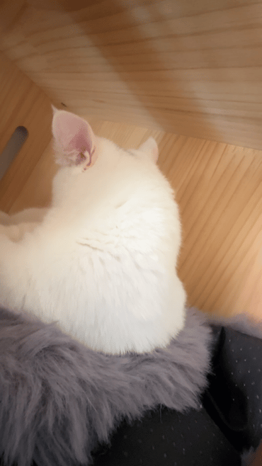 就爱吃火锅于2025-05-28 10:36发布的图片