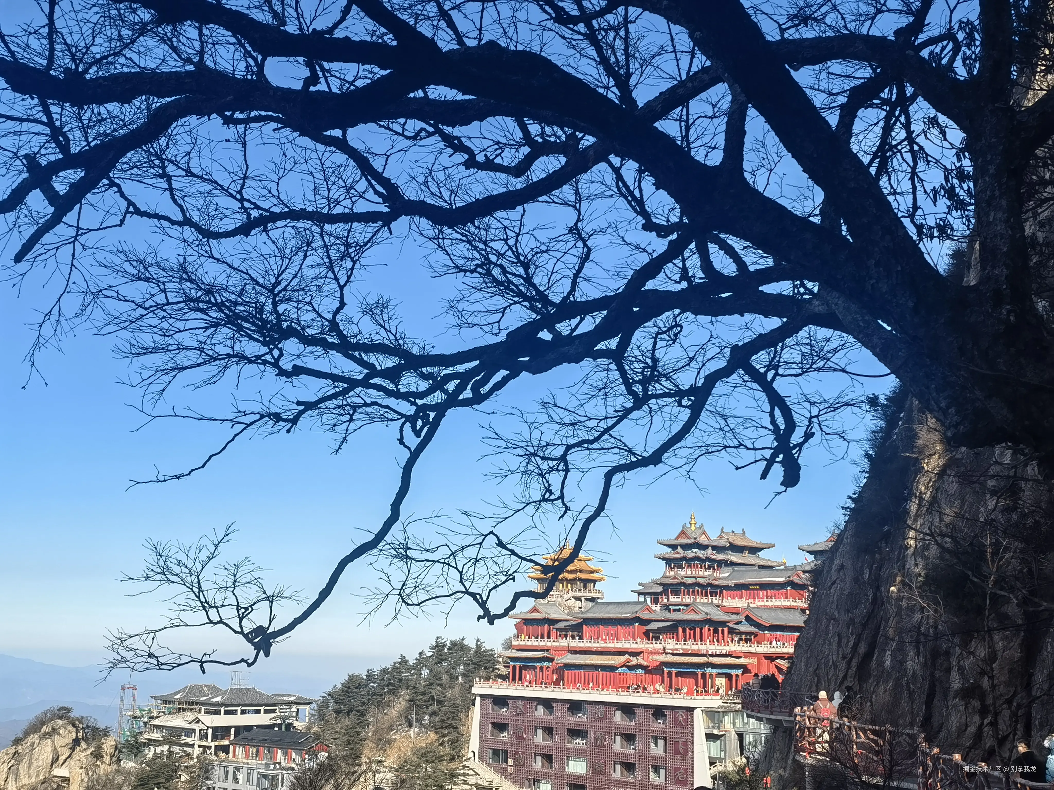 别拿我龙于2025-01-21 11:58发布的图片