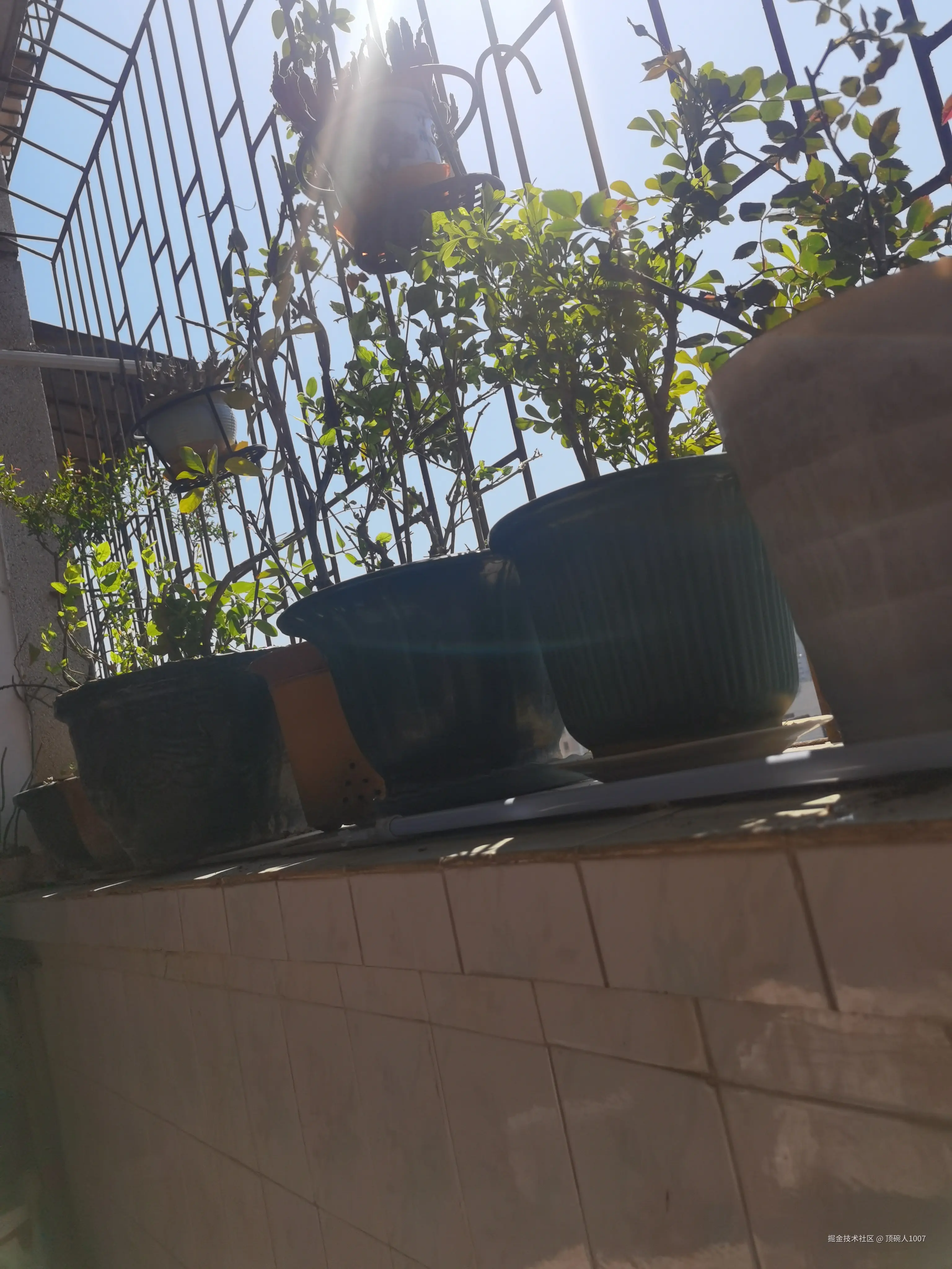 顶碗人1007于2026-03-14 10:26发布的图片