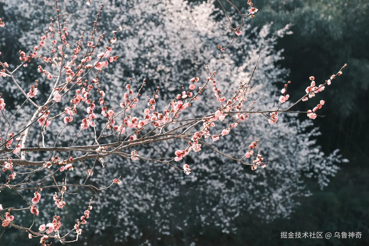 乌鲁神奇于2026-02-09 10:12发布的图片