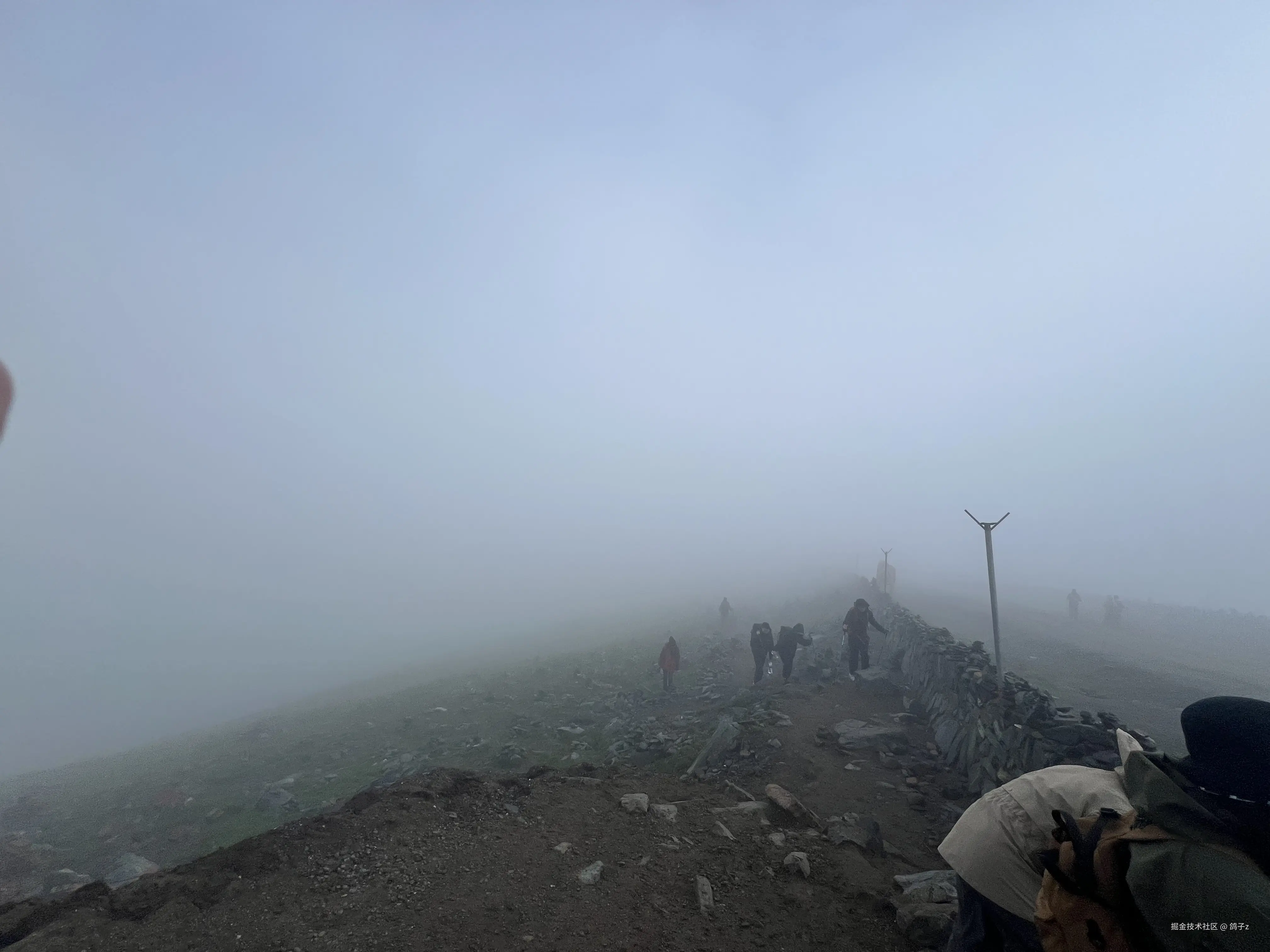 鸽子z于2025-07-14 14:20发布的图片