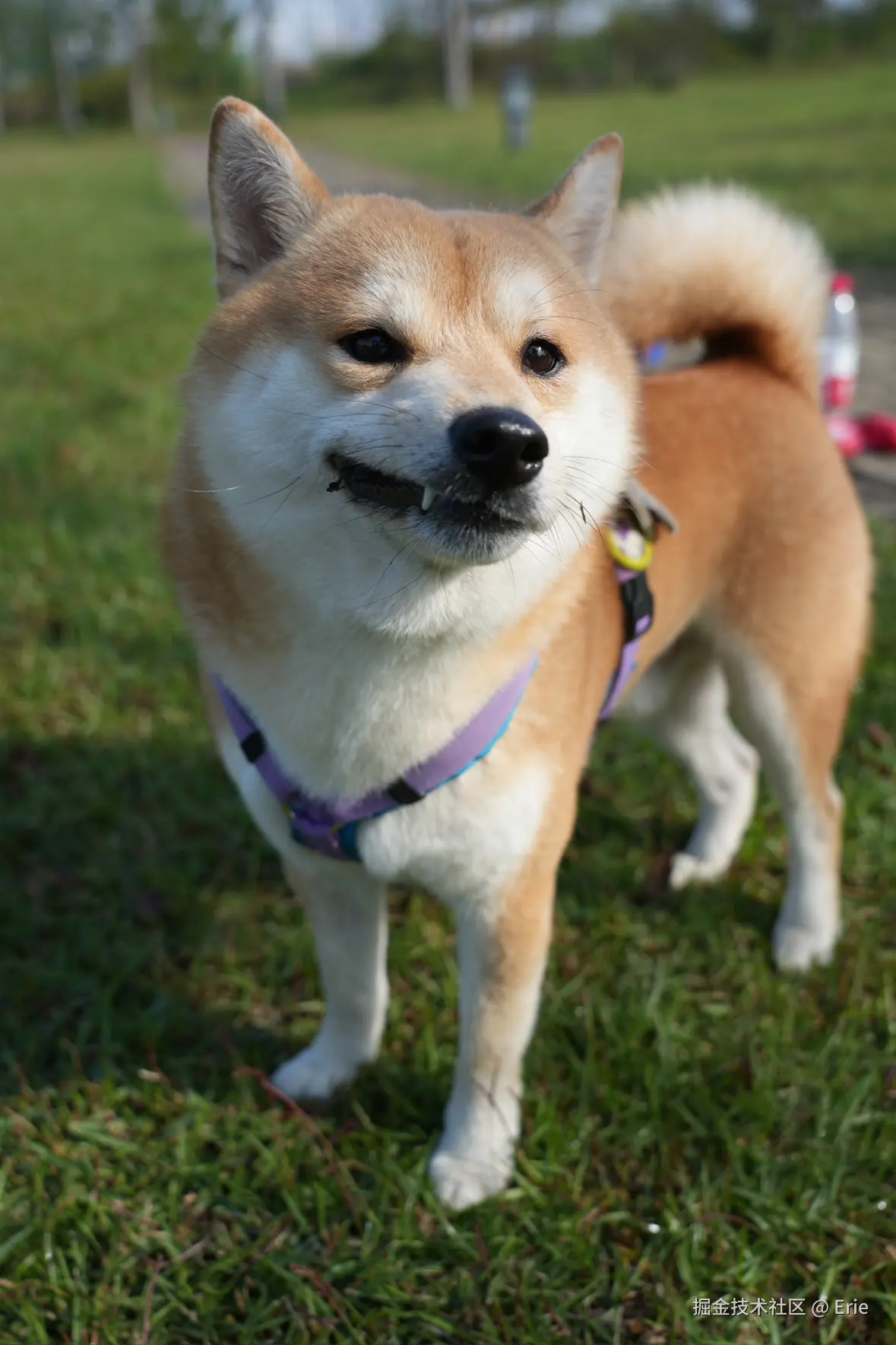 Erie于2025-11-18 08:30发布的图片