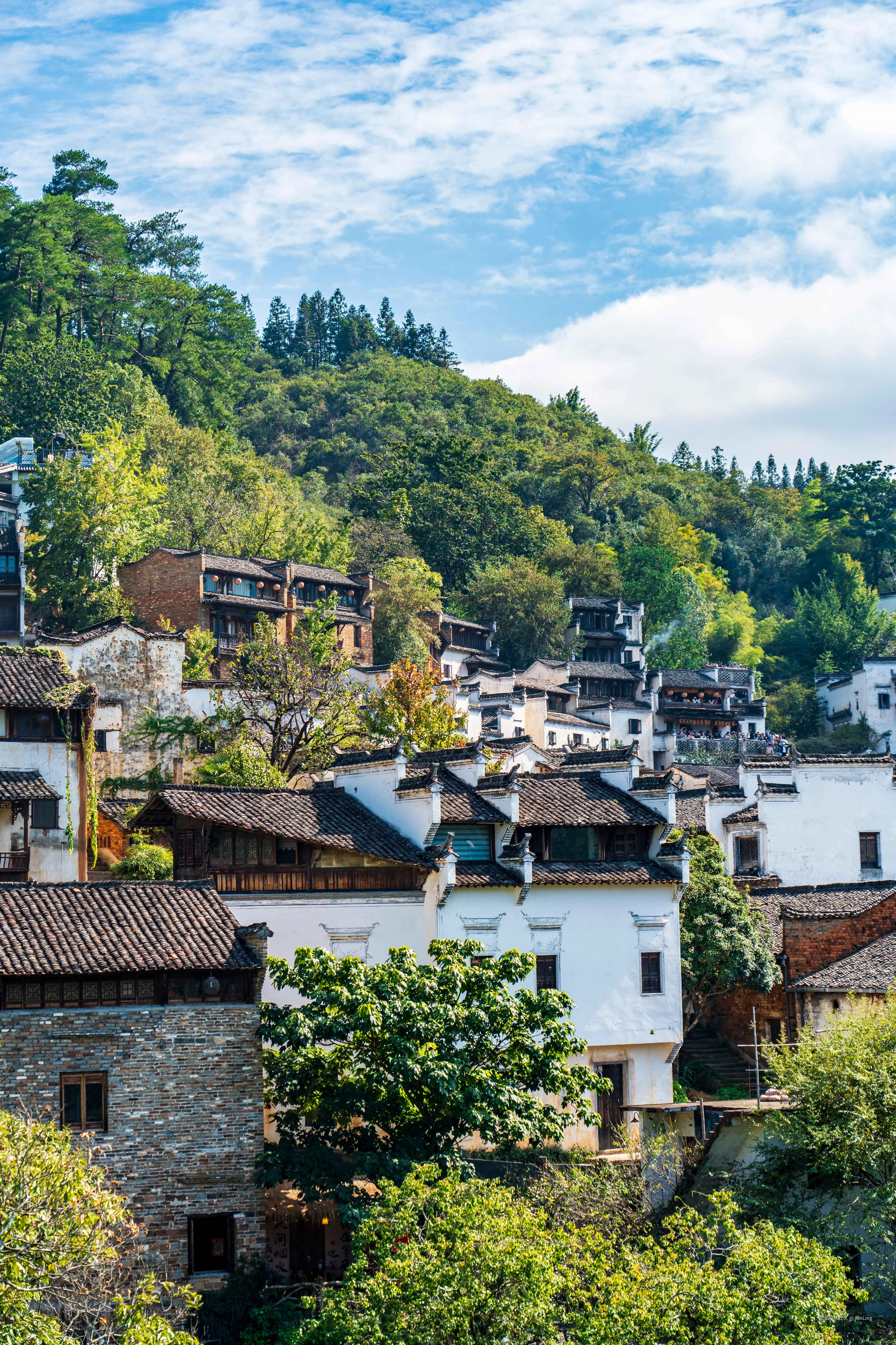 RinLing于2025-10-27 10:49发布的图片