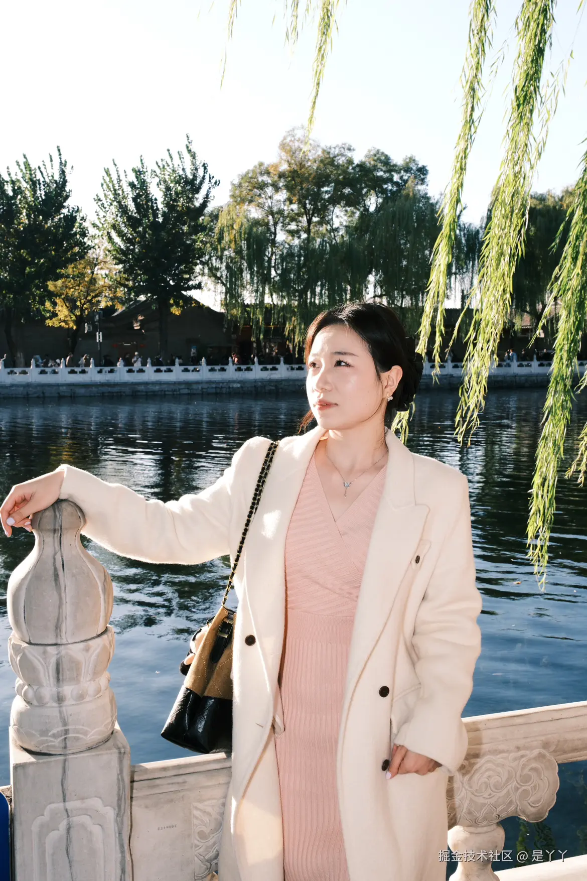 是丫丫于2025-11-10 13:47发布的图片