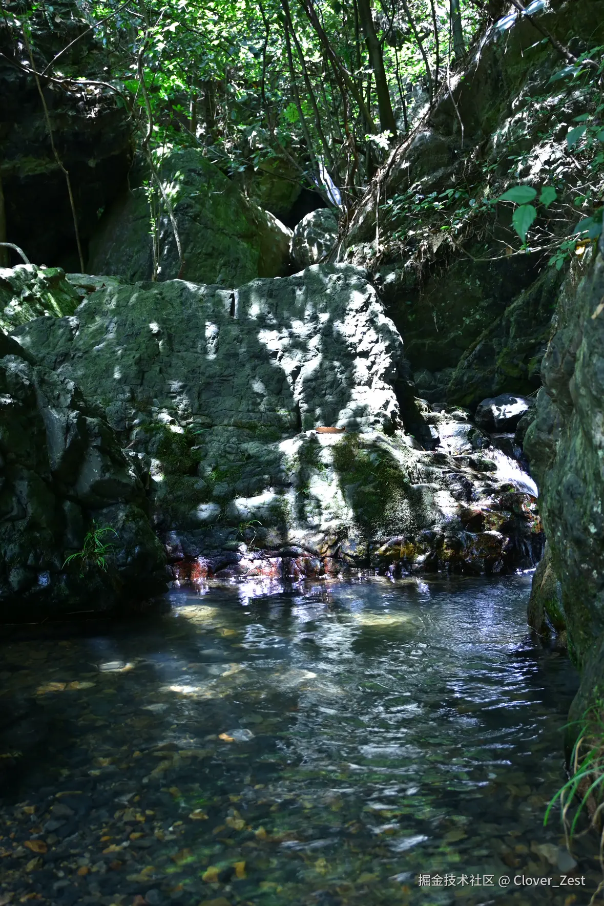 Clover_Zest于2025-08-11 11:12发布的图片