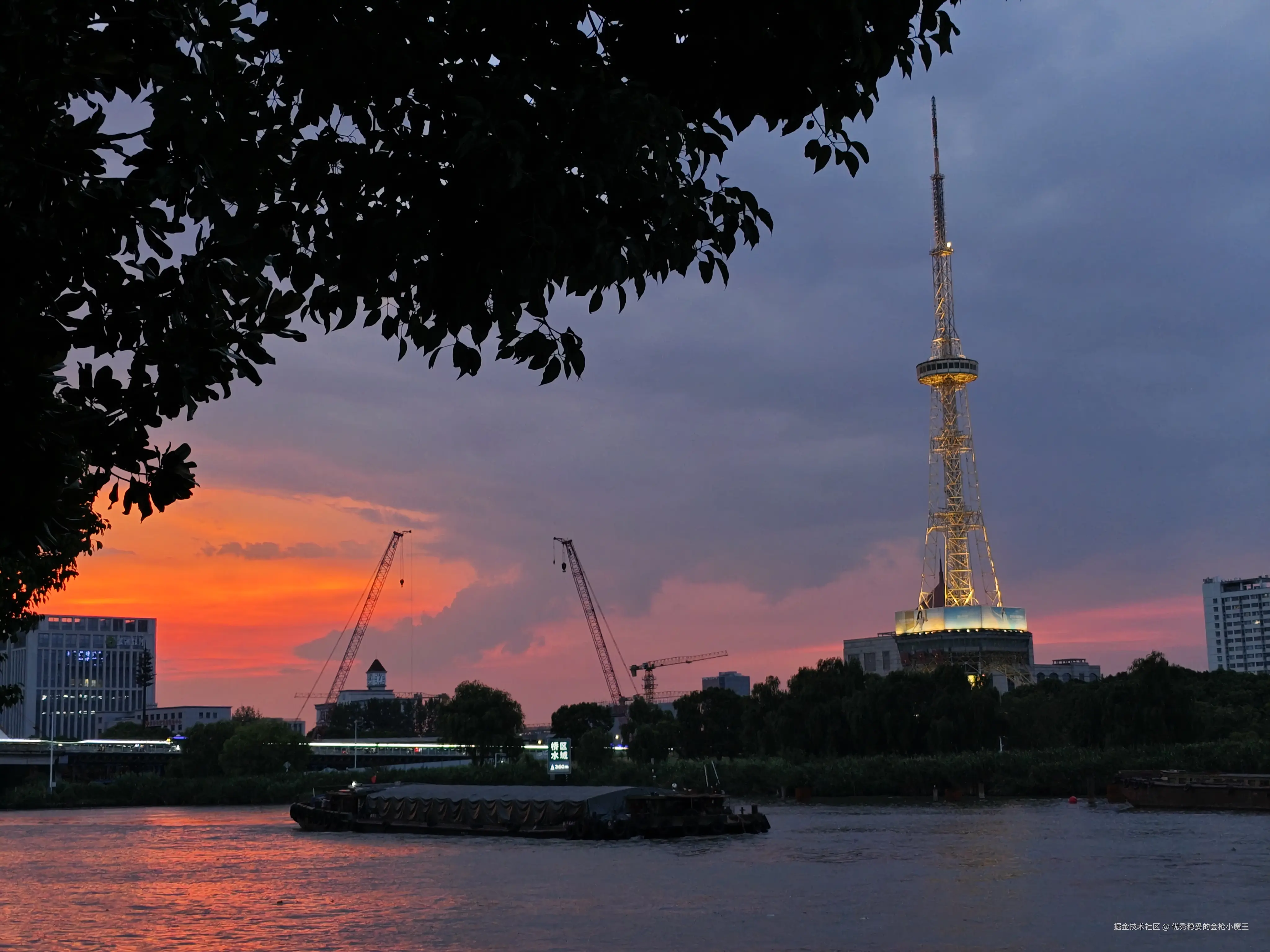 优秀稳妥的金枪小魔王于2025-08-21 11:18发布的图片