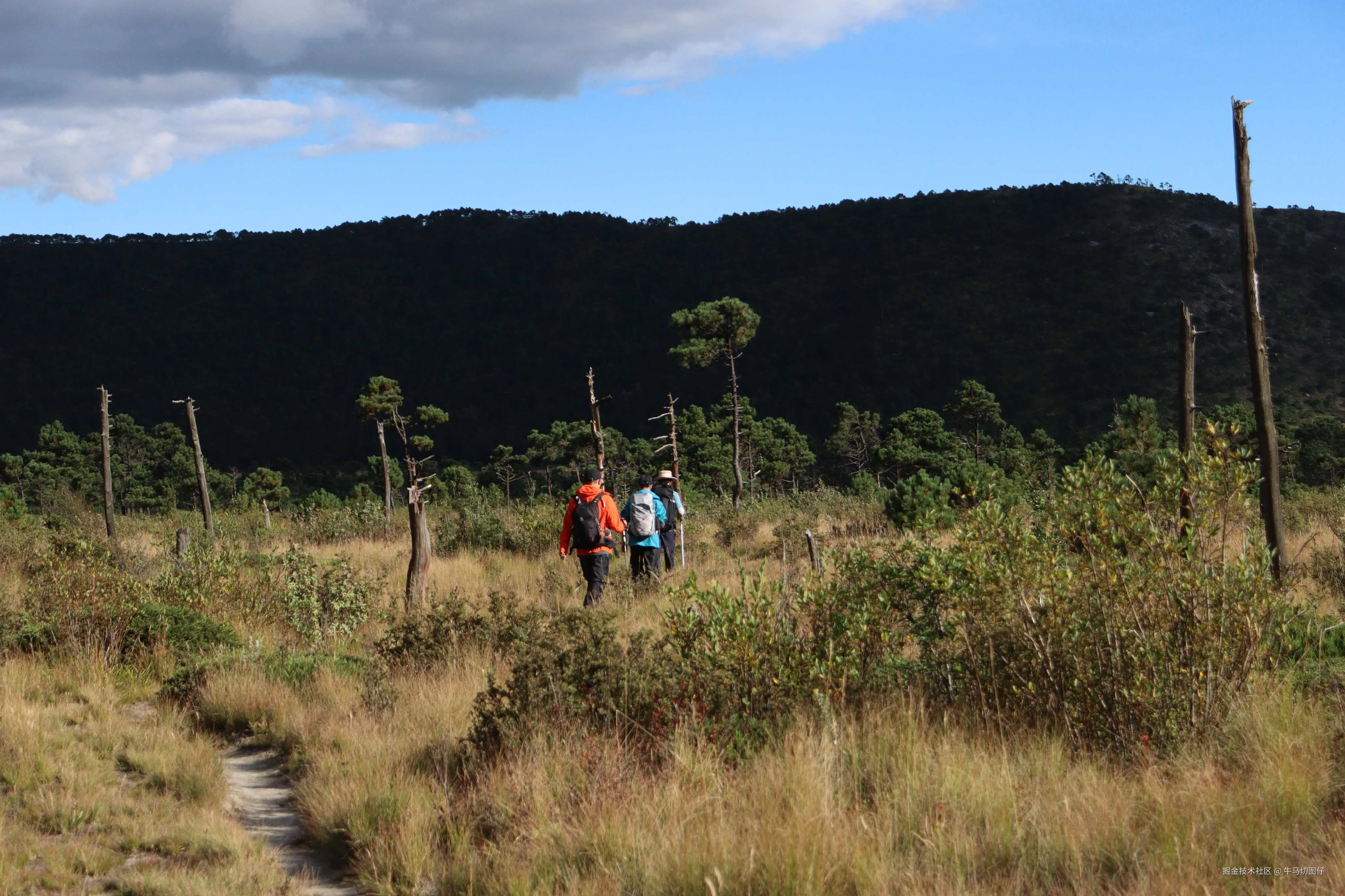 牛马切图仔于2025-10-09 05:51发布的图片
