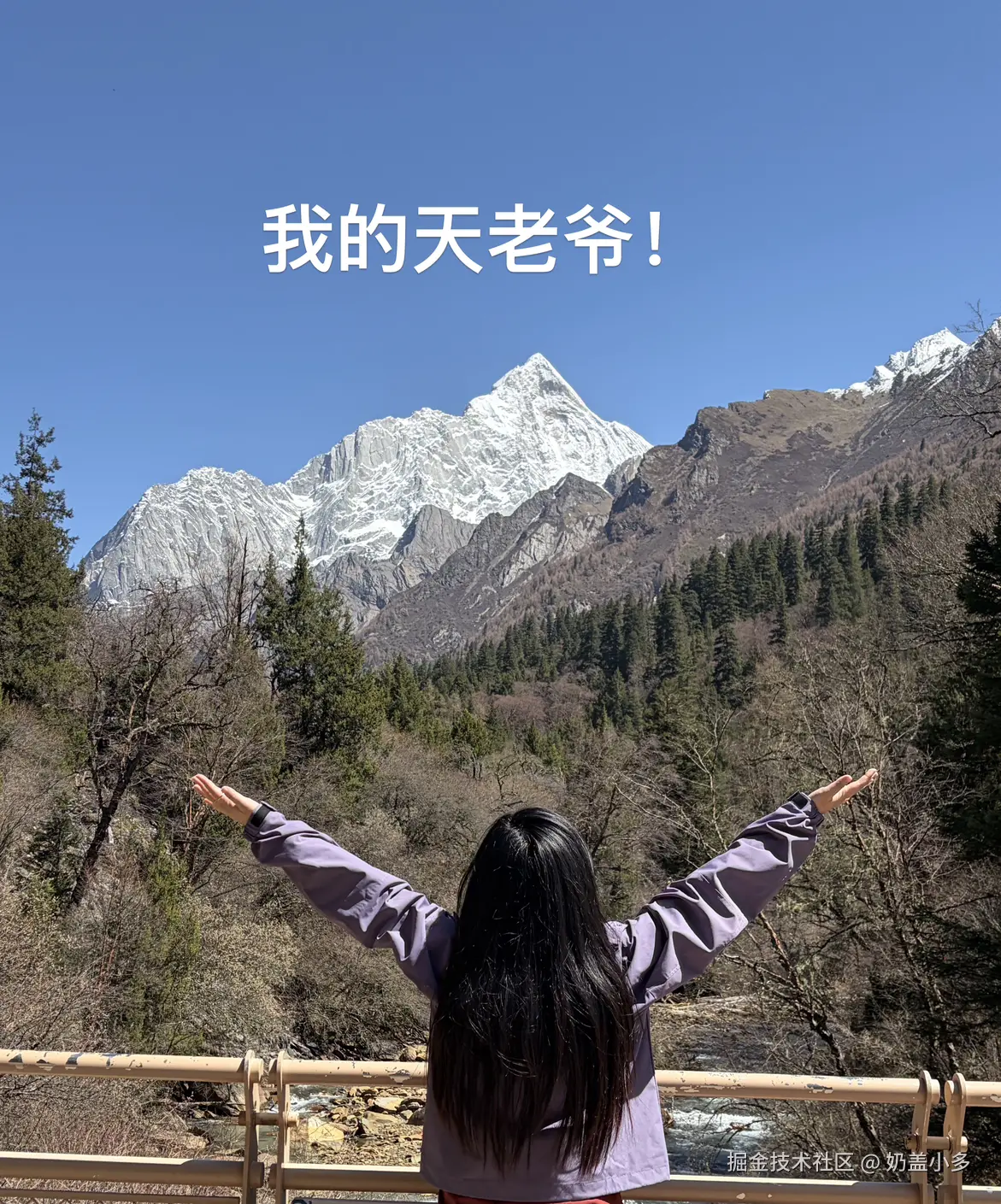 奶盖小多于2026-04-22 15:52发布的图片