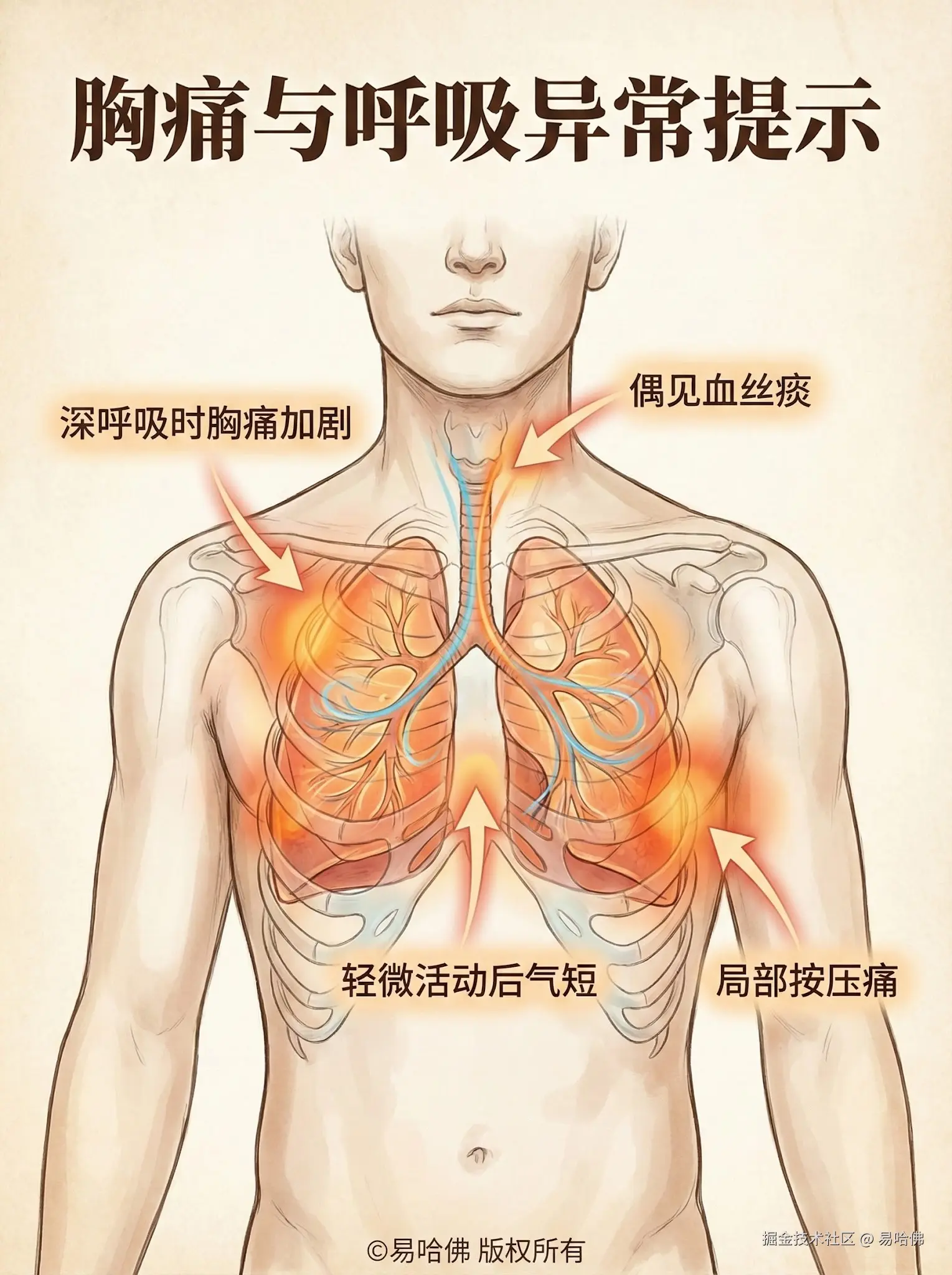 易哈佛于2026-01-04 08:22发布的图片