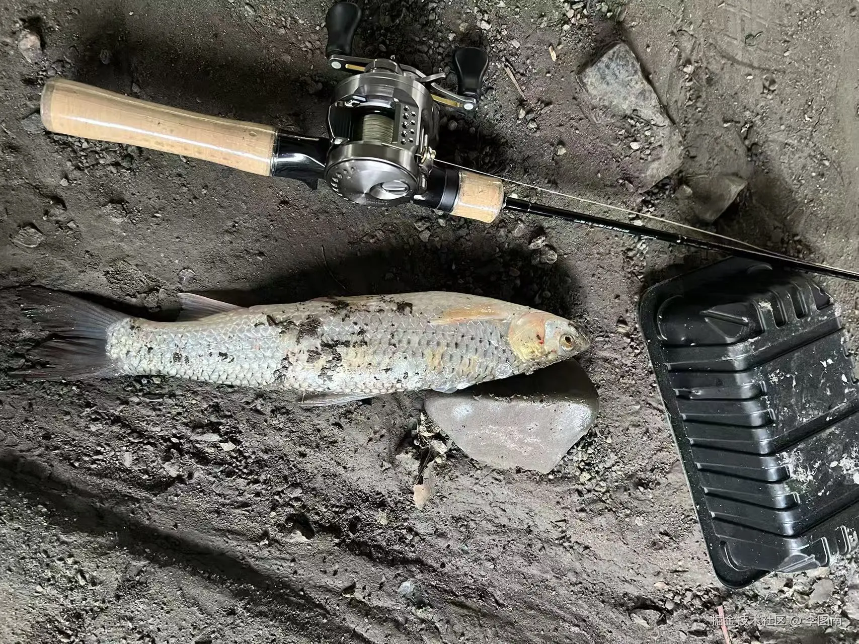 李图南于2025-10-15 15:20发布的图片