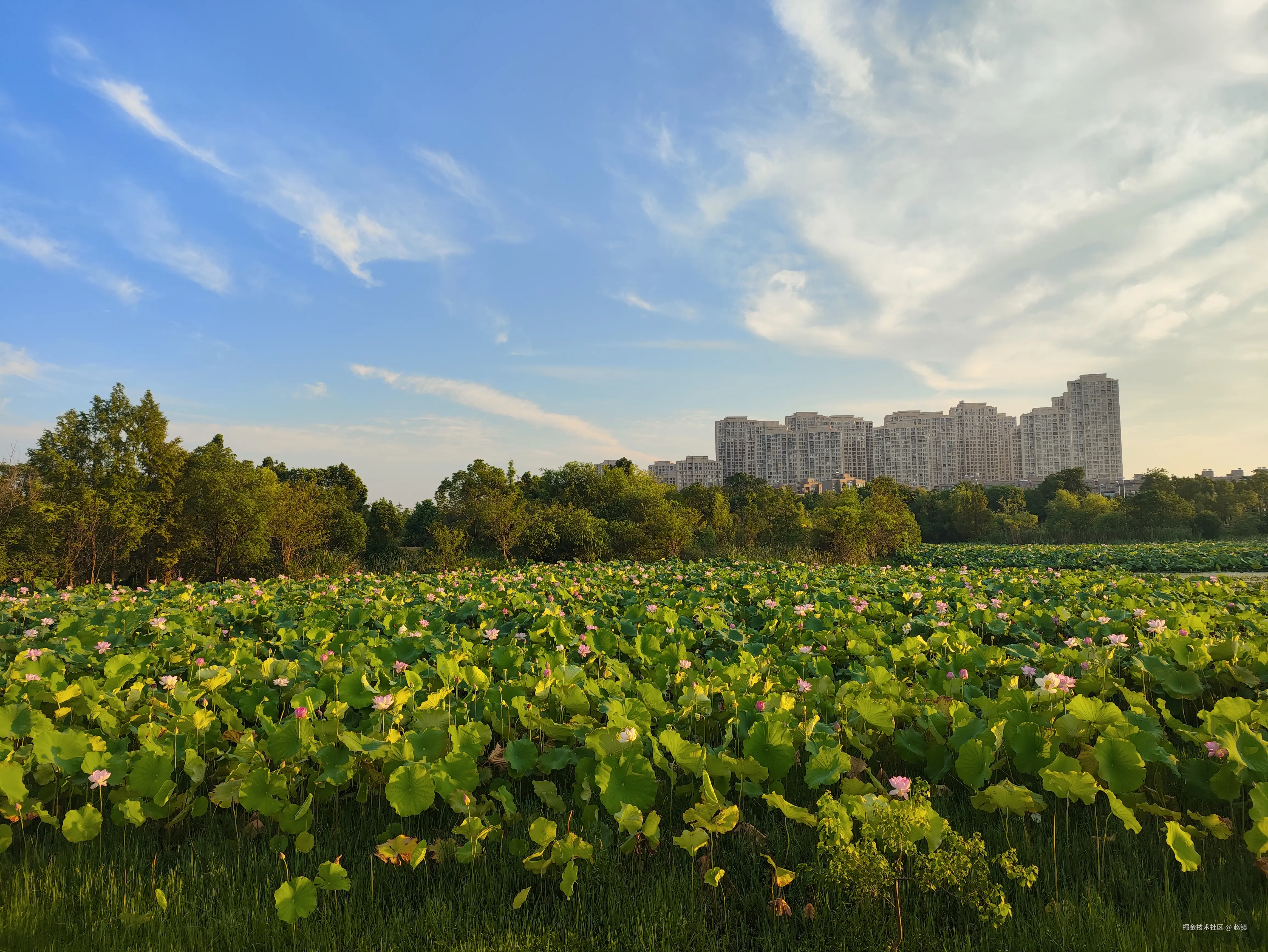 赵镇于2024-07-24 07:04发布的图片