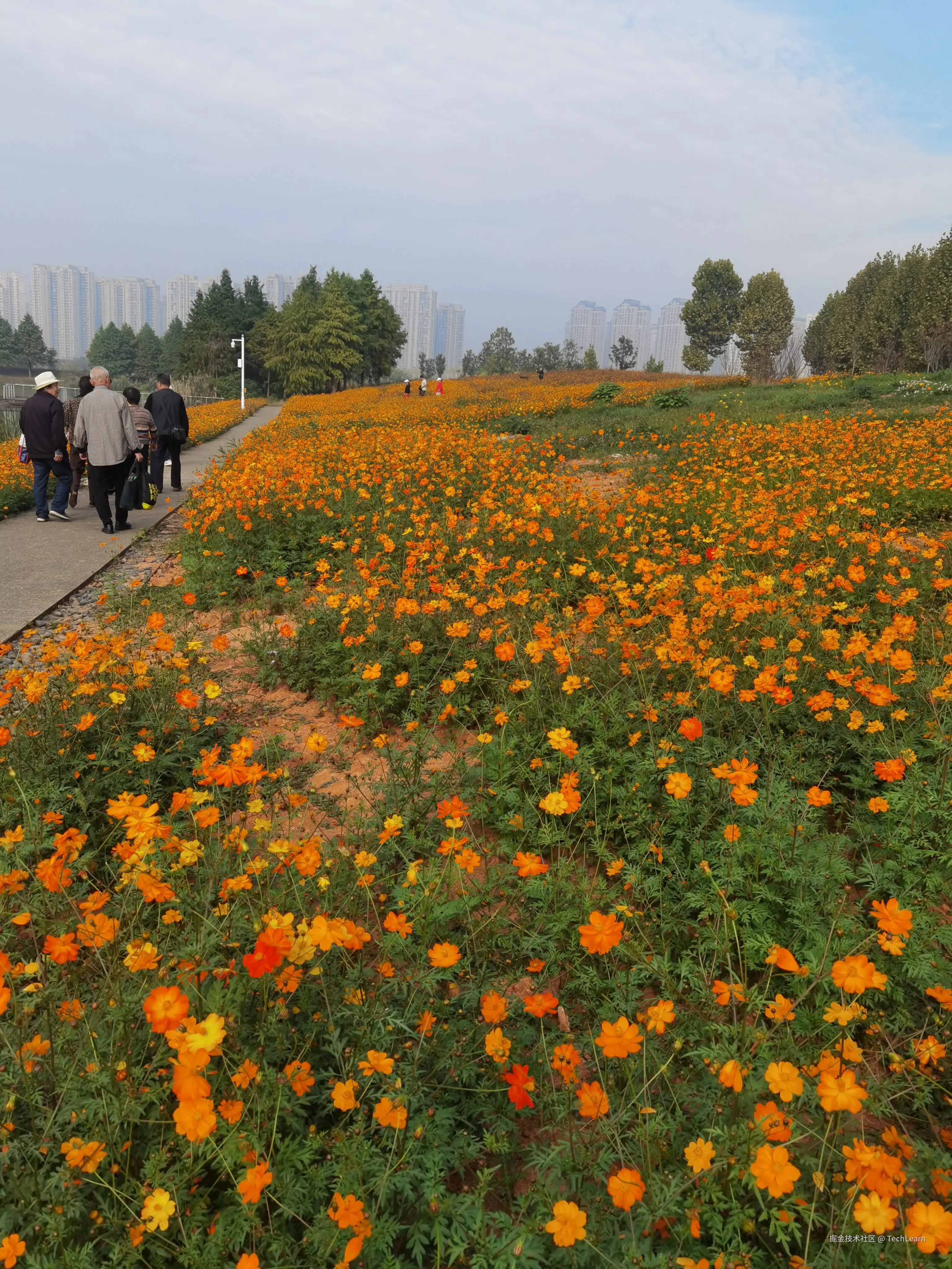 TechLearn于2024-11-09 09:36发布的图片