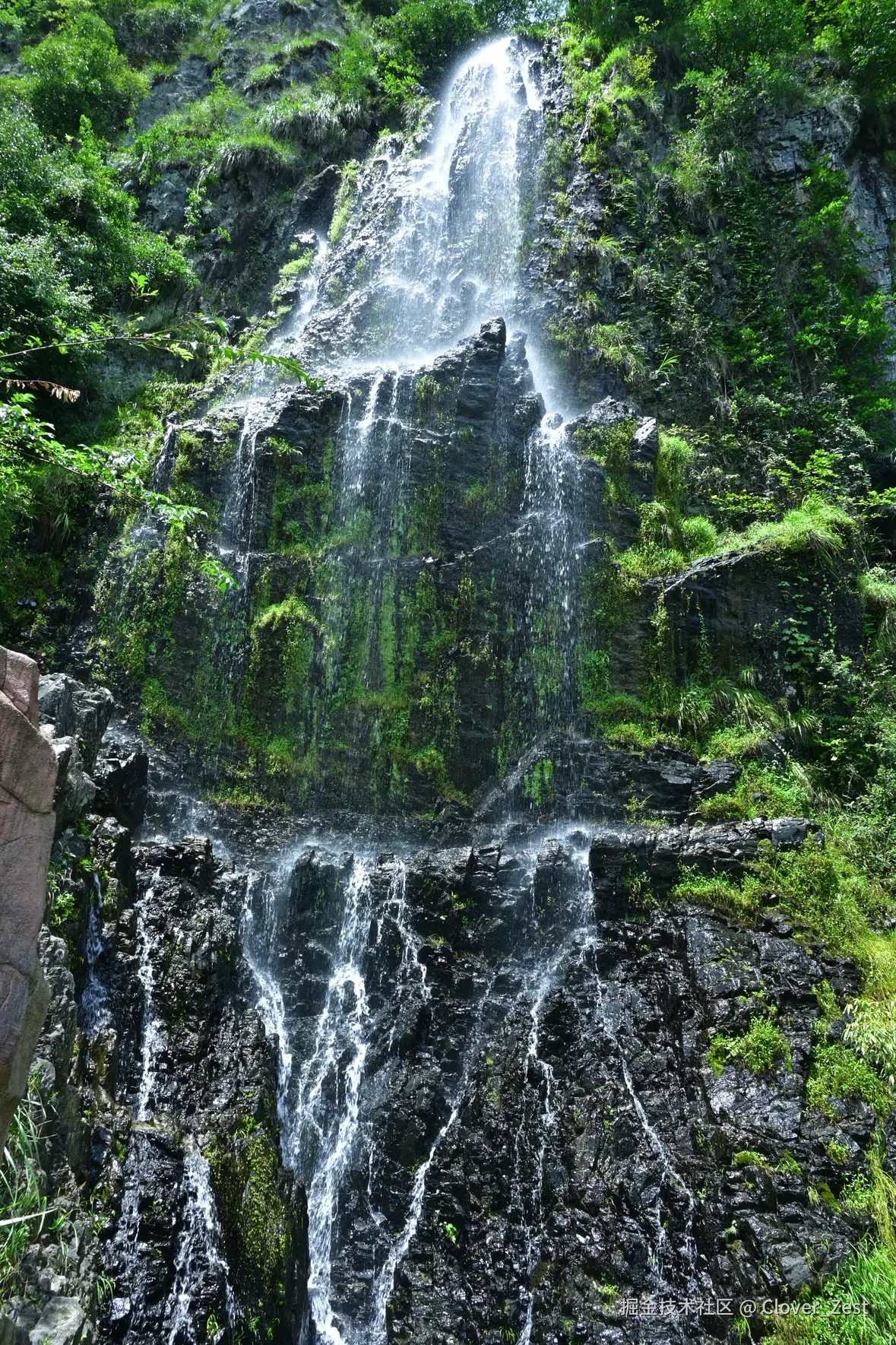 Clover_Zest于2025-08-11 11:12发布的图片