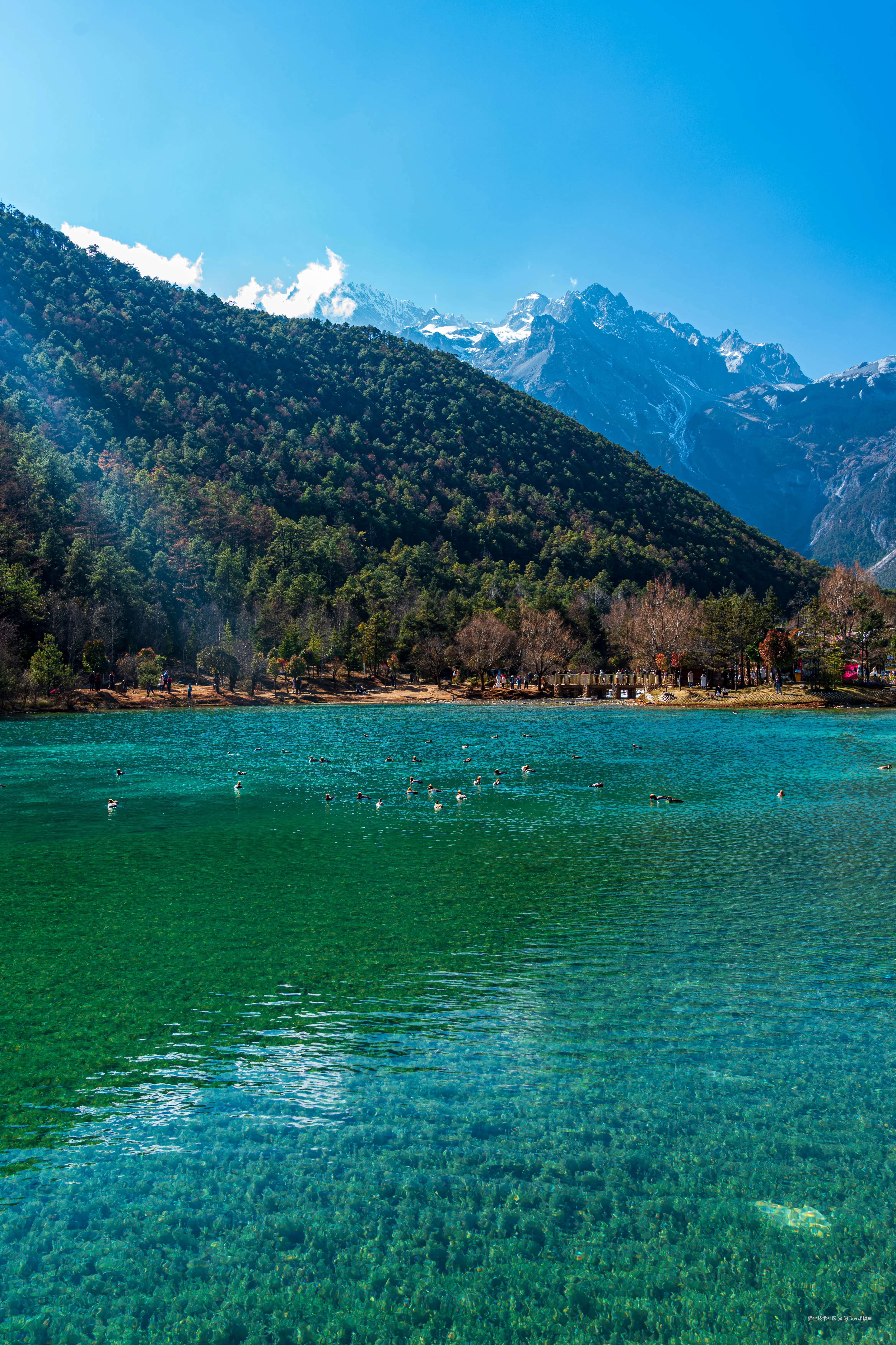 阿飞只想摸鱼于2026-02-11 14:55发布的图片