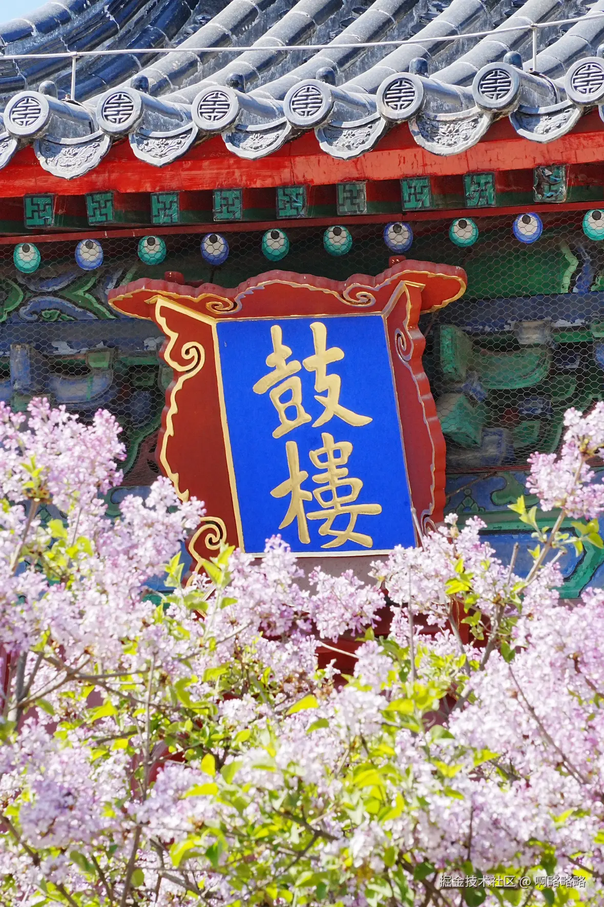 啊略略略于2025-04-02 14:21发布的图片