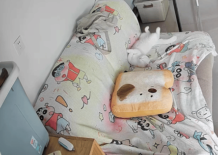 就爱吃火锅于2025-09-25 15:45发布的图片