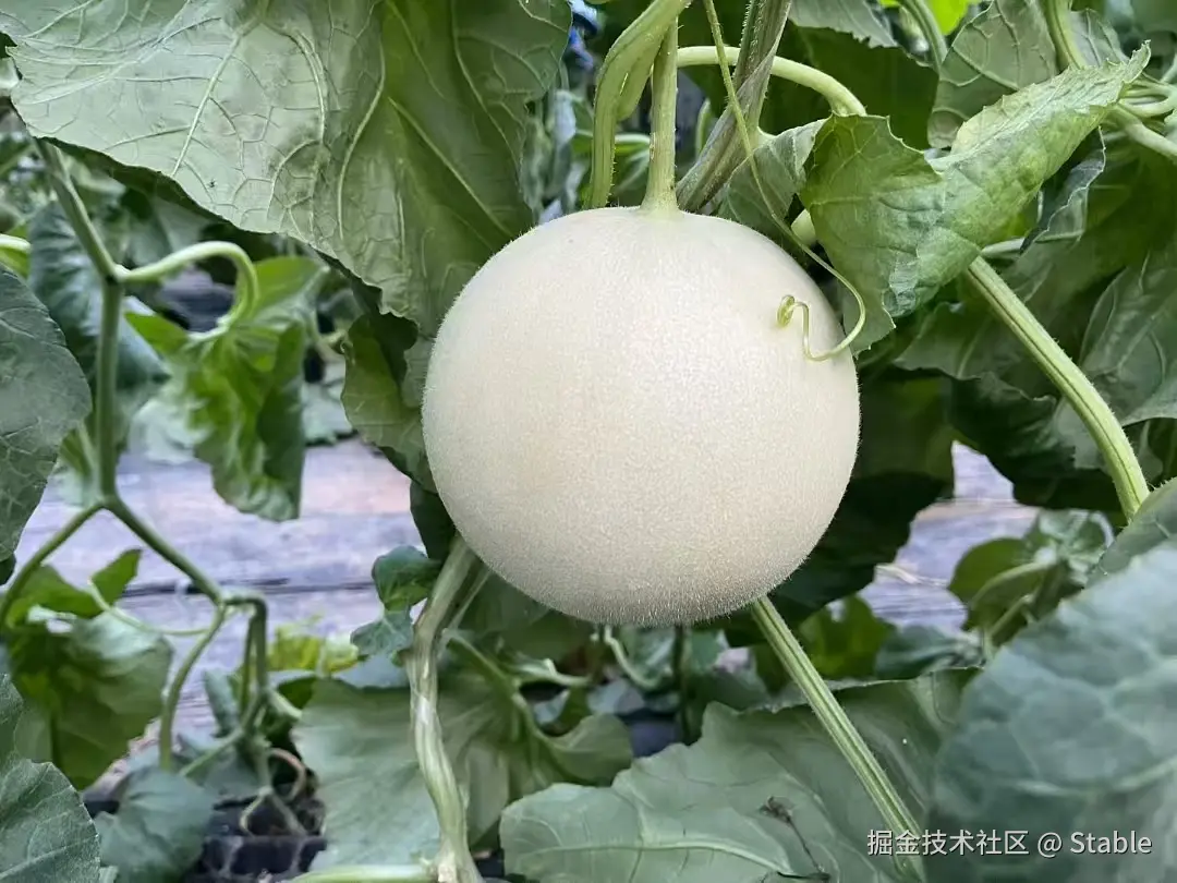 Stable于2025-04-17 15:41发布的图片