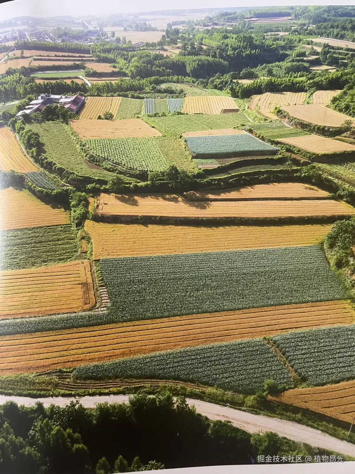 植物昂光于2026-04-10 21:41发布的图片